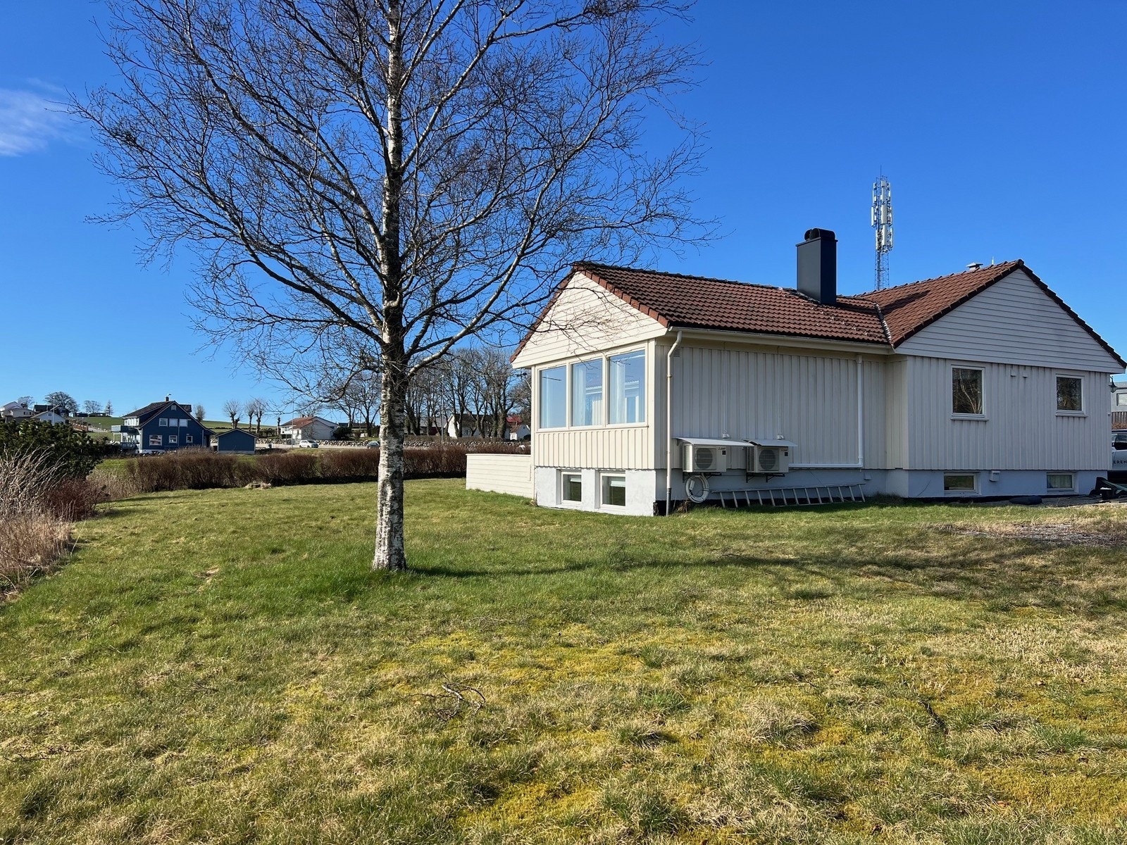 Stor, solrik hage Galleribilde