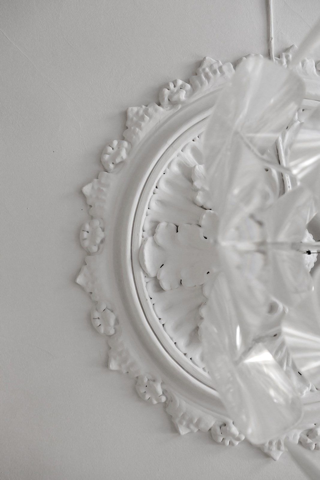 Det er nydelig rosett og stukkatur i himlingen. Galleribilde