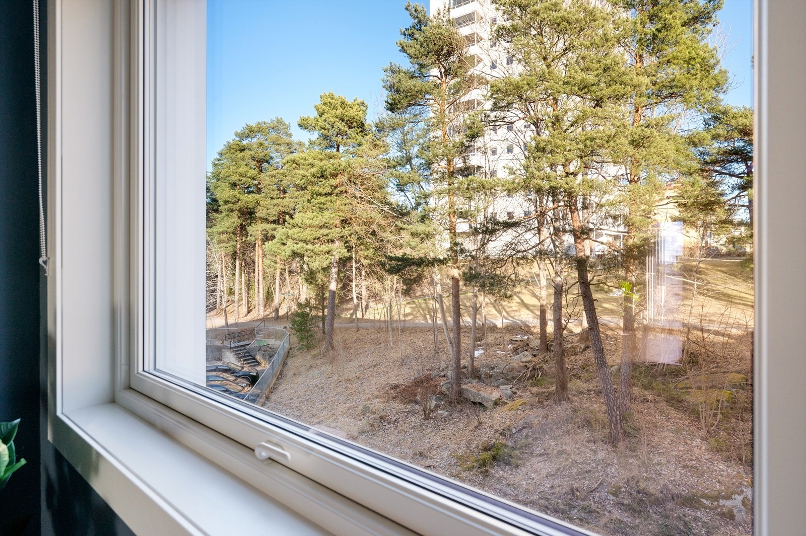 Her kan du våkne opp til en hyggelig utsikt over grønn natur. Galleribilde