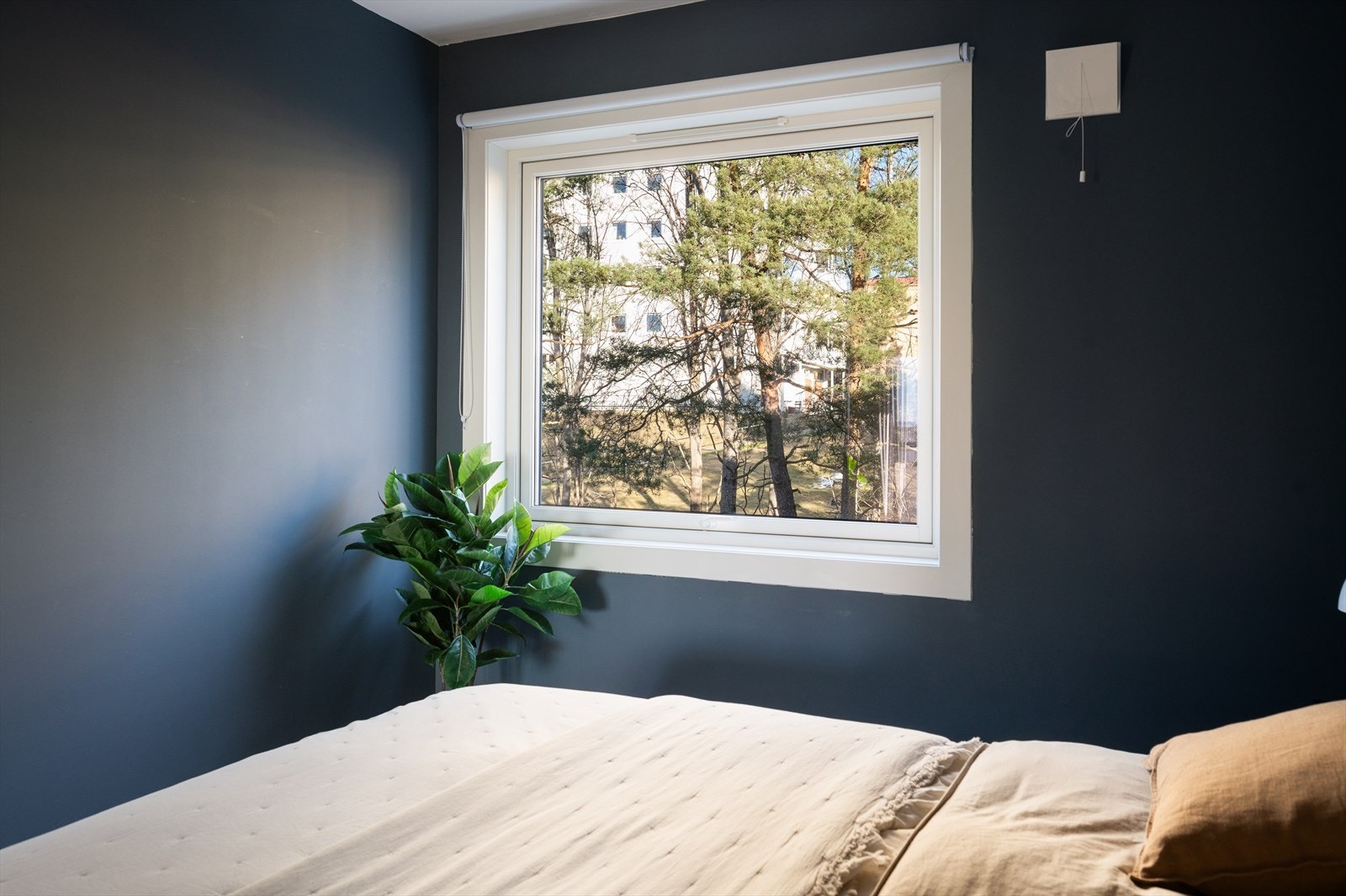 Her er det god plass til dobbeltseng og tilhørende nattbord på hver side. Galleribilde