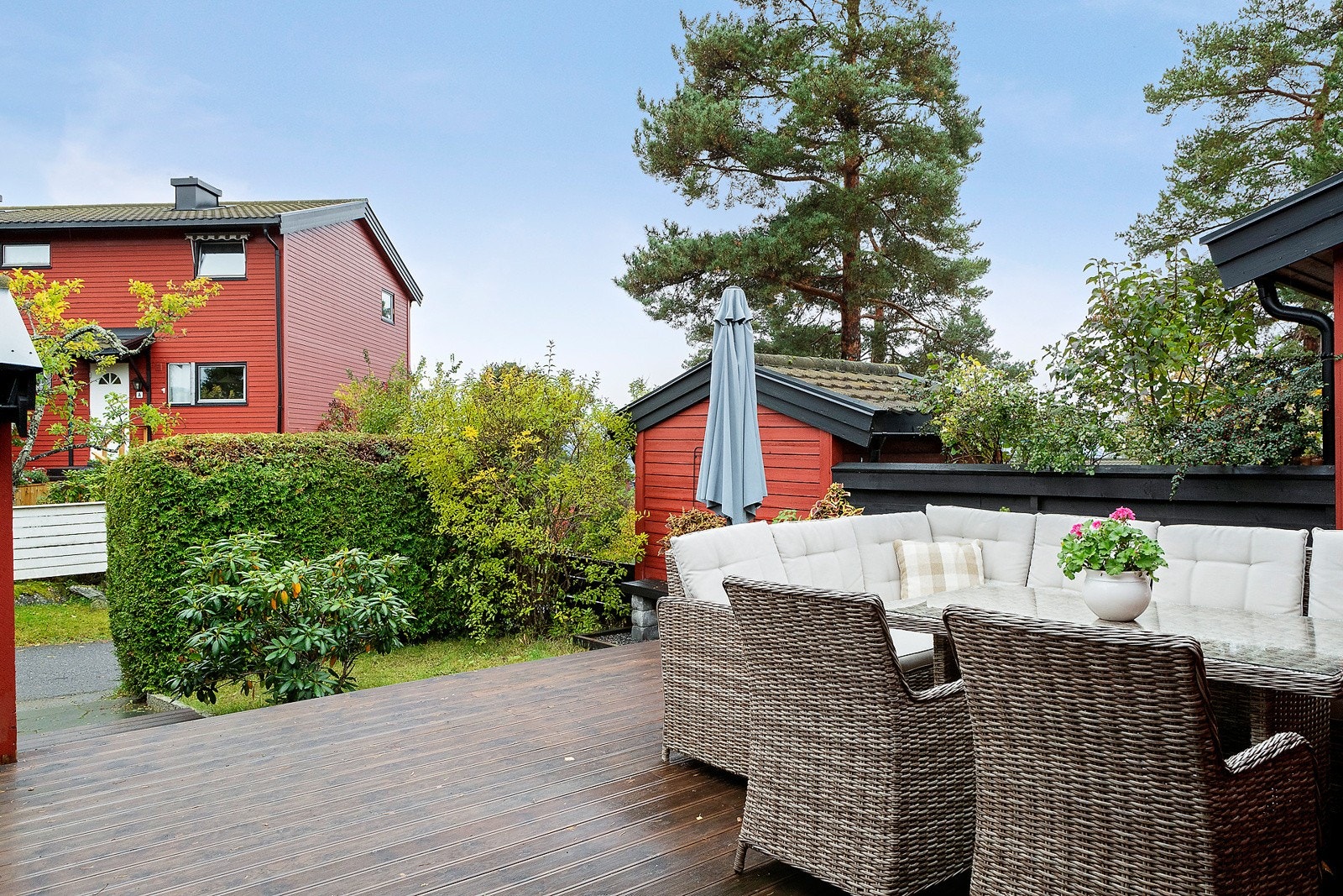 Stort vestvendt inngangsparti med hekk, plen og platting Galleribilde