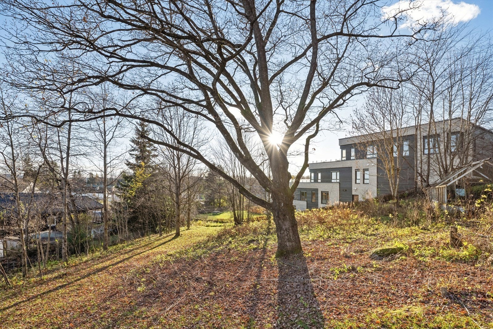 Tomten har gode solforhold. Her er det sol fra morgen til ettermiddag. Galleribilde