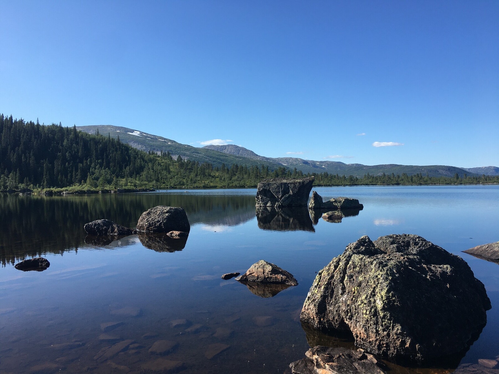 Privat foto Galleribilde