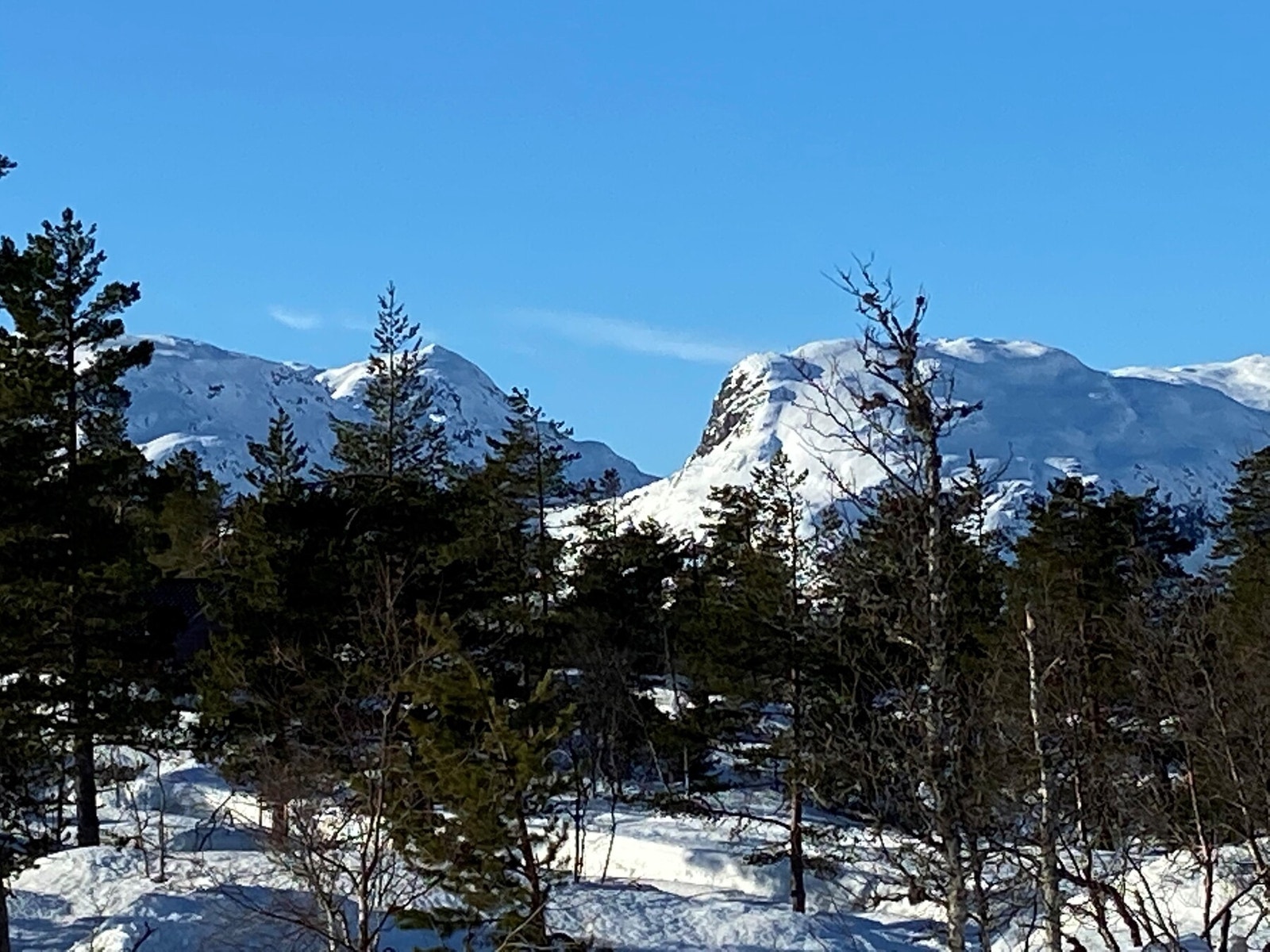 Privat foto Galleribilde