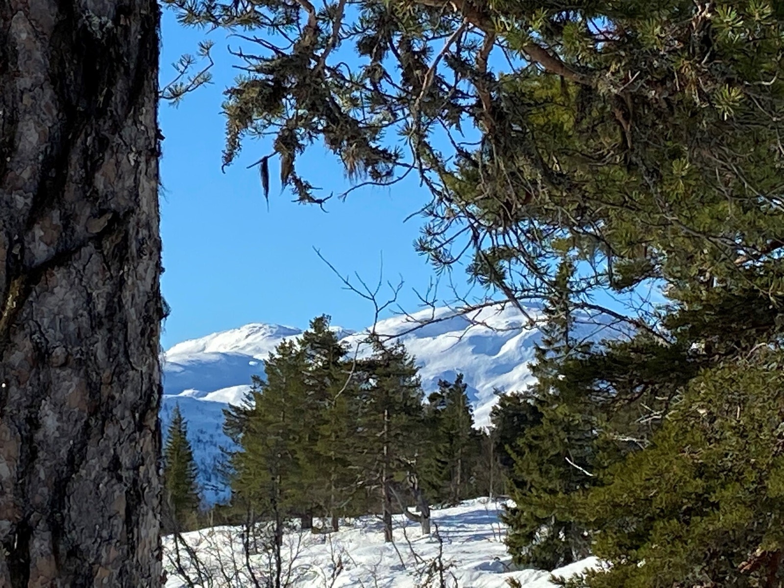 Privat foto Galleribilde