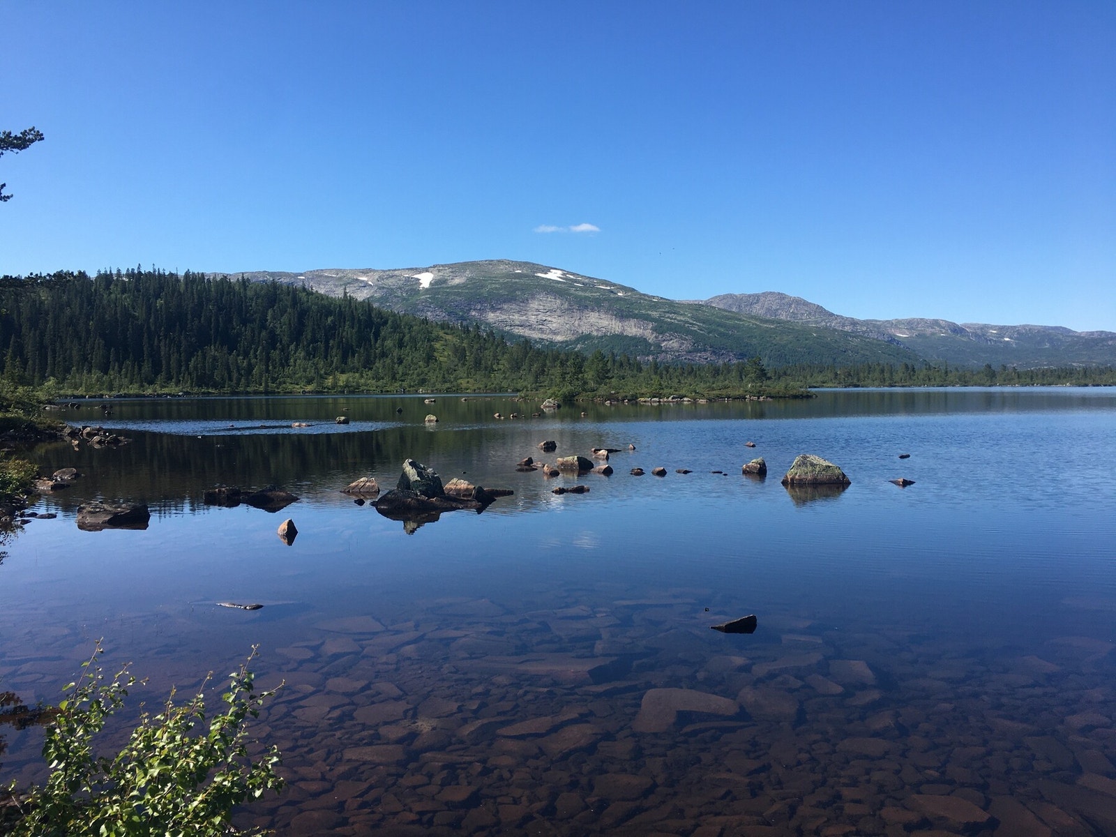 Privat foto Galleribilde