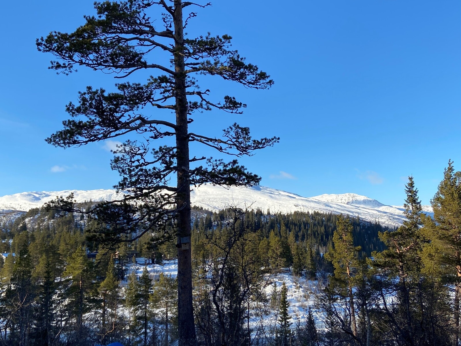 Privat foto Galleribilde