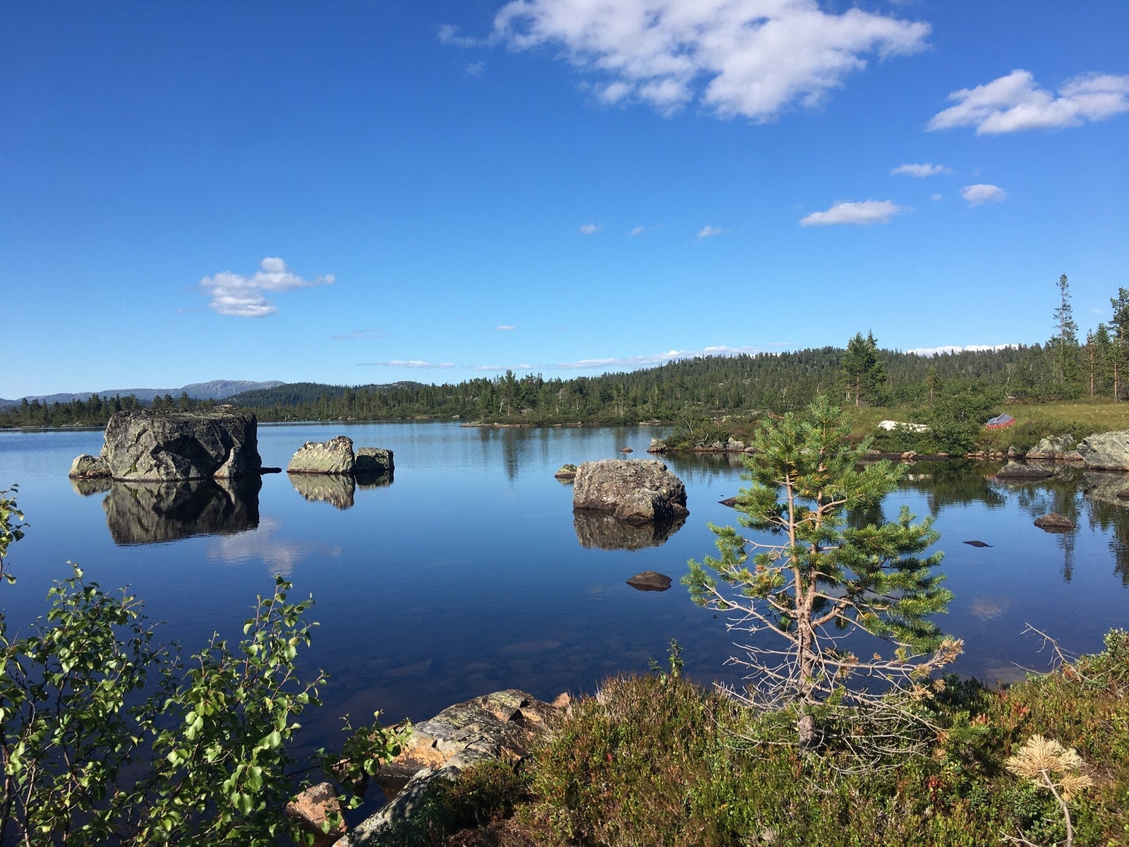 Privat foto Galleribilde