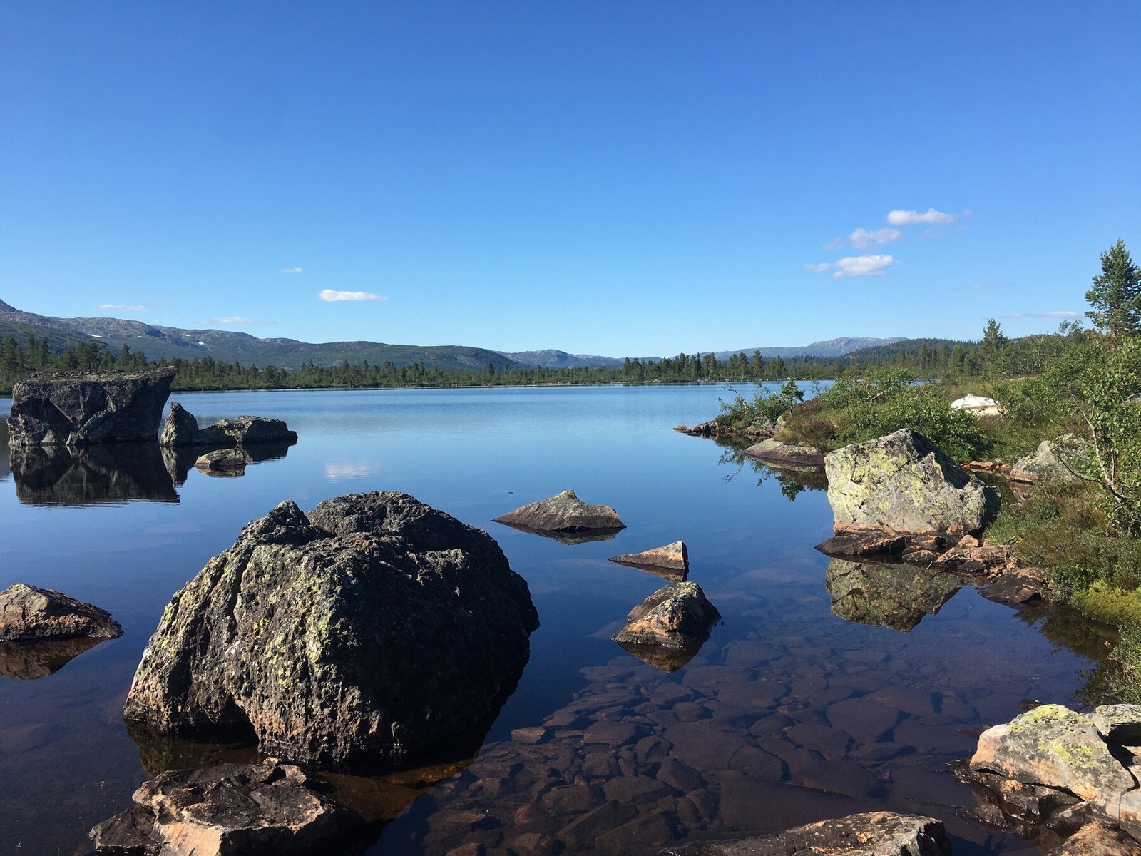 Privat foto Galleribilde