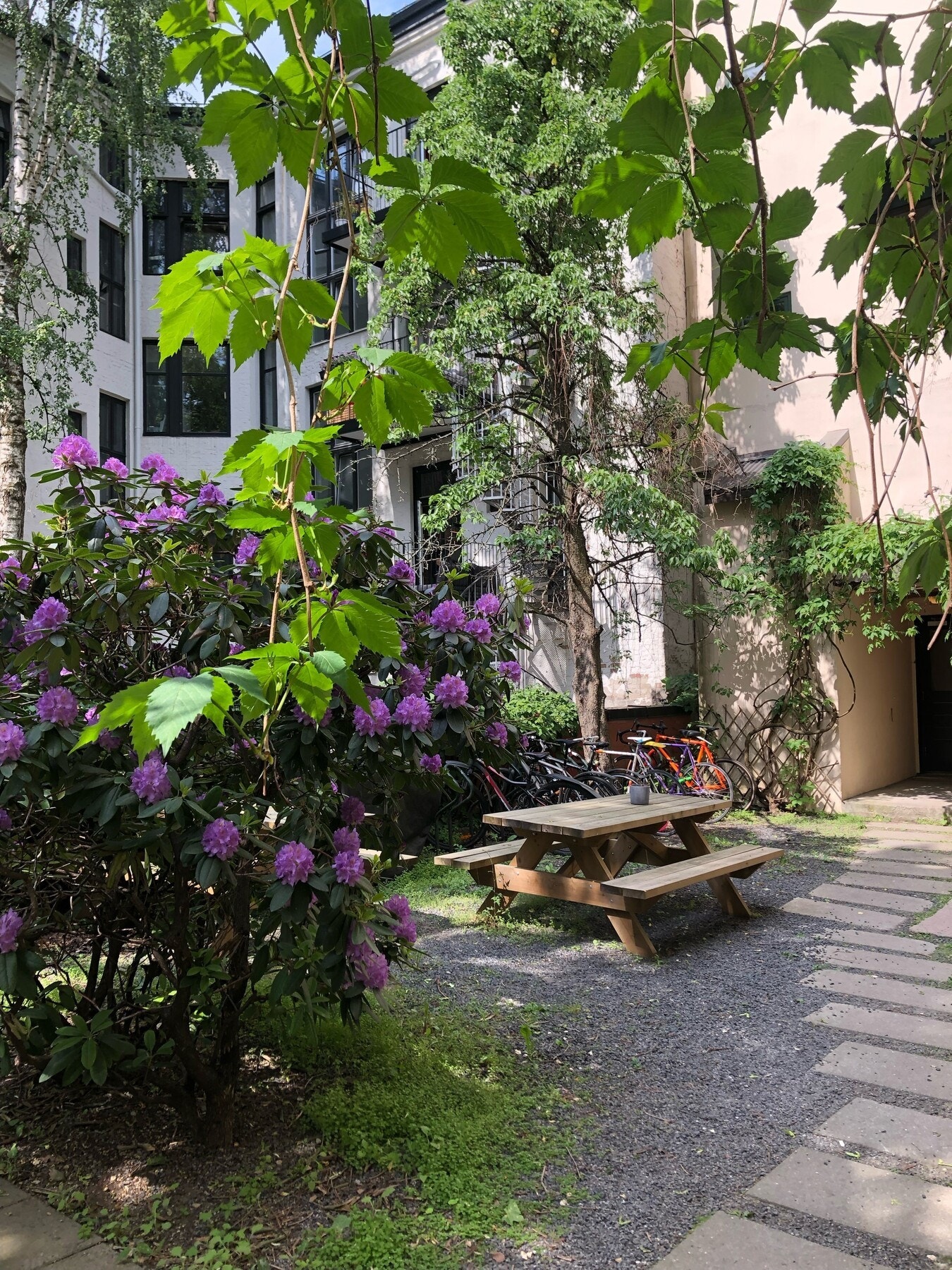 Bakgård i full blomst. Selgers bilde. Galleribilde