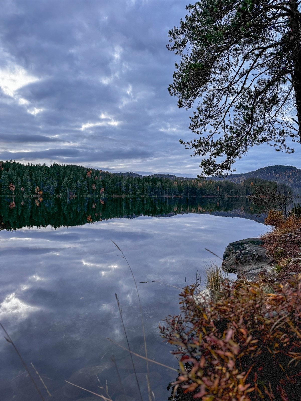 En kort sykkeltur unna finner man verdens beste badevann, Junger Galleribilde