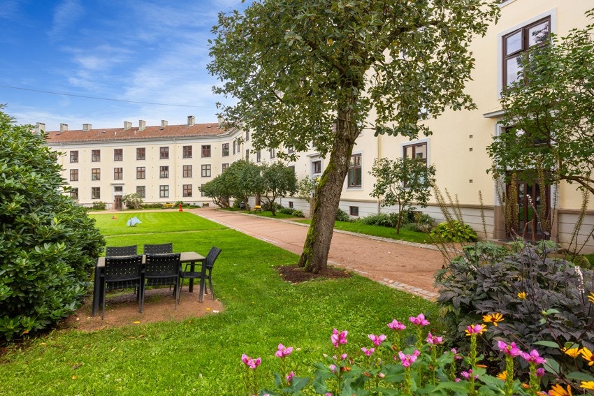 Sommerbilder fra bakgård Galleribilde