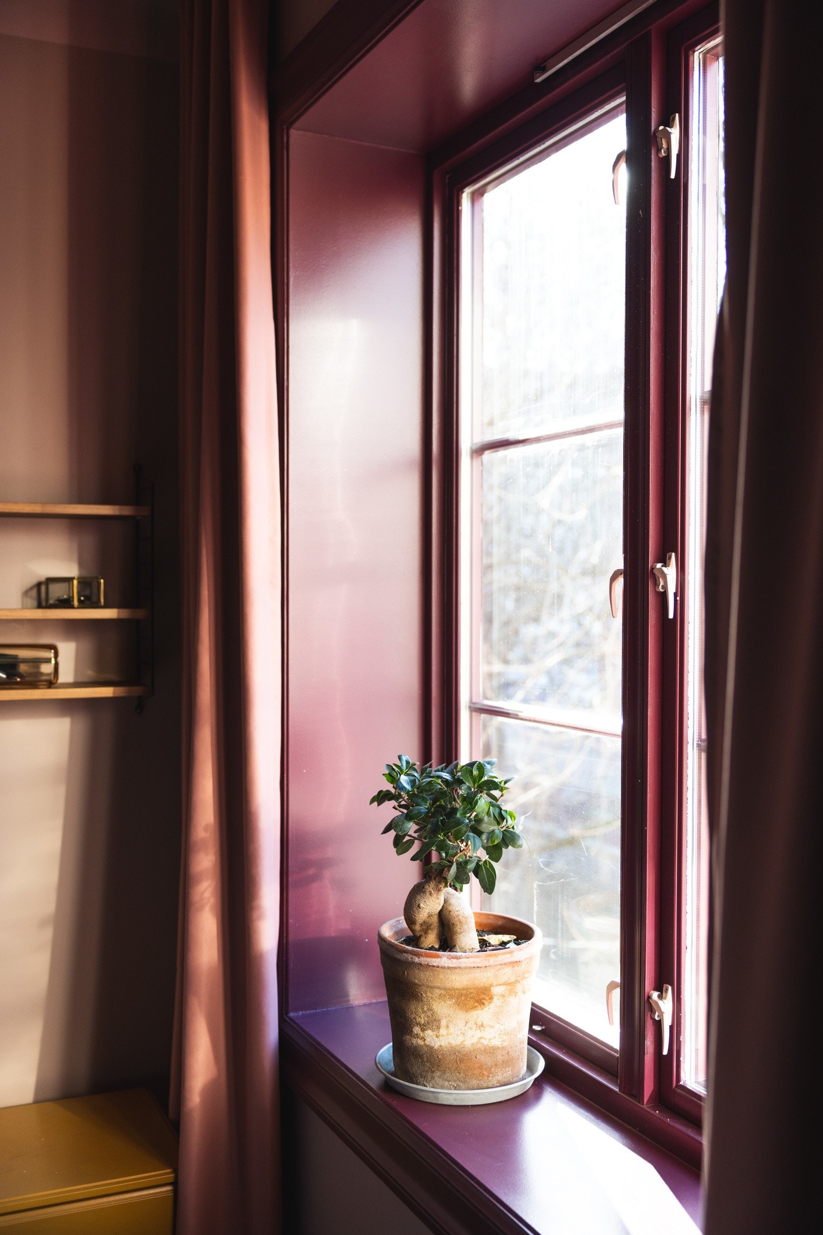 Klassiske vindusflater med brede karmer (produksjonsår 2008). Galleribilde