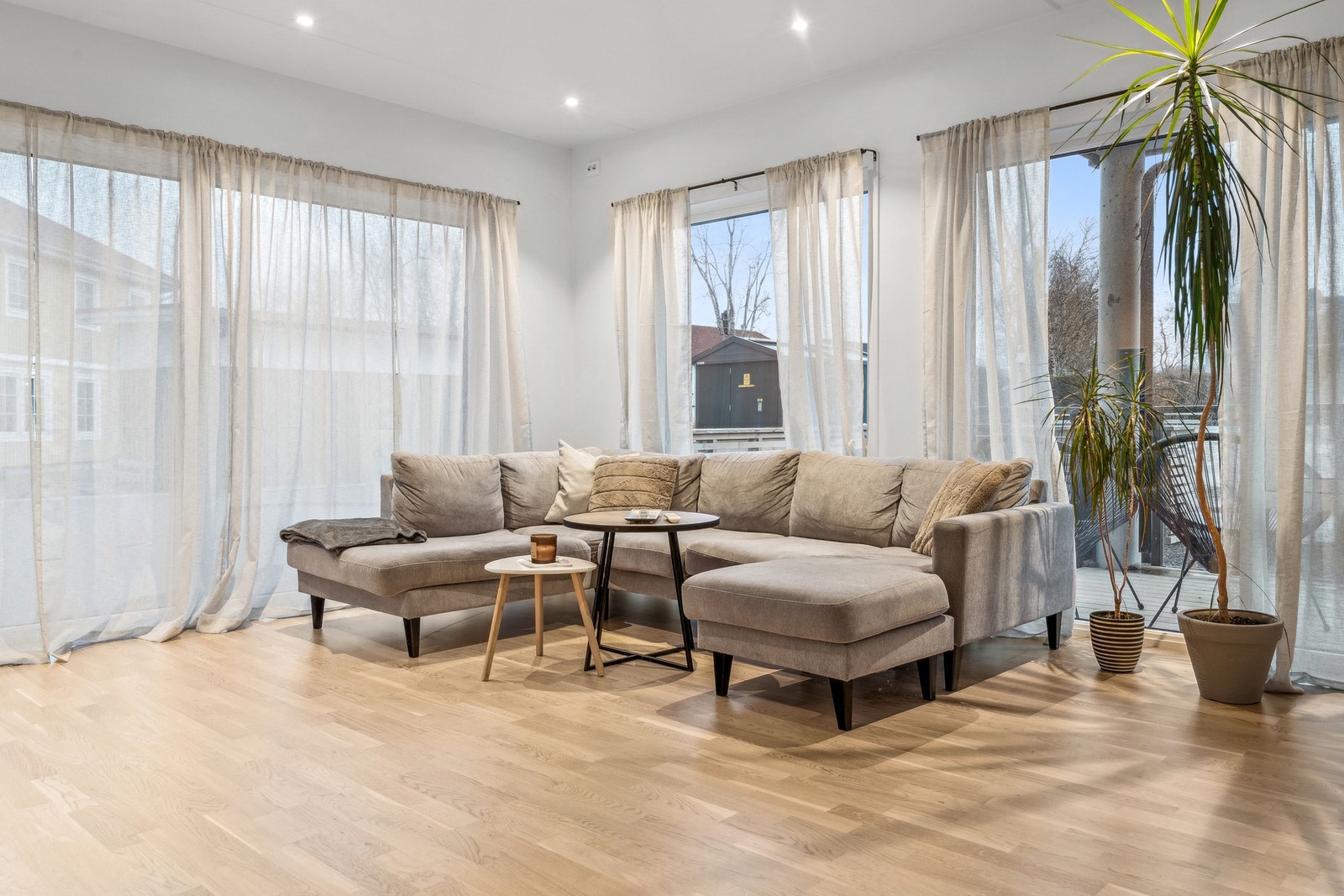 Store vindusflater gir mye naturlig lys i rommet. Galleribilde