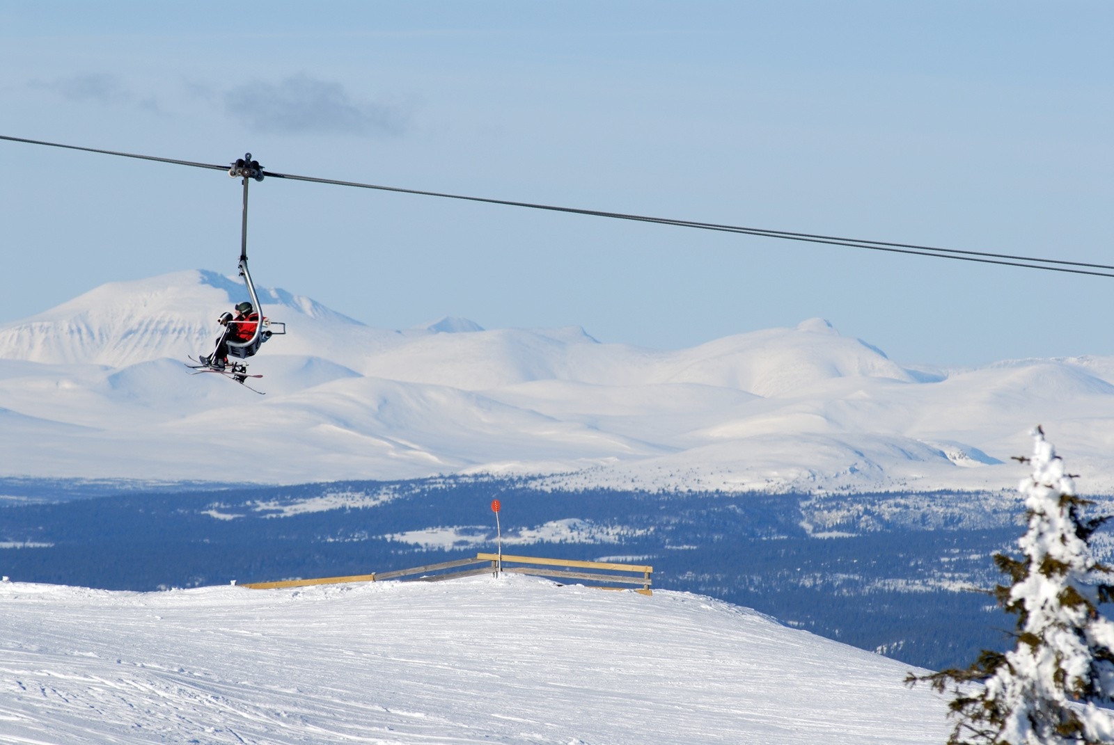 Ronande i bakgrunnen Galleribilde