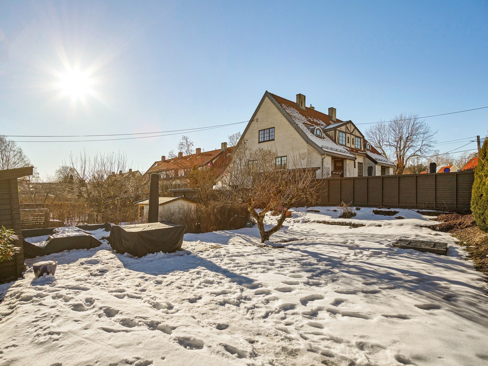 Stor hageparsell Galleribilde