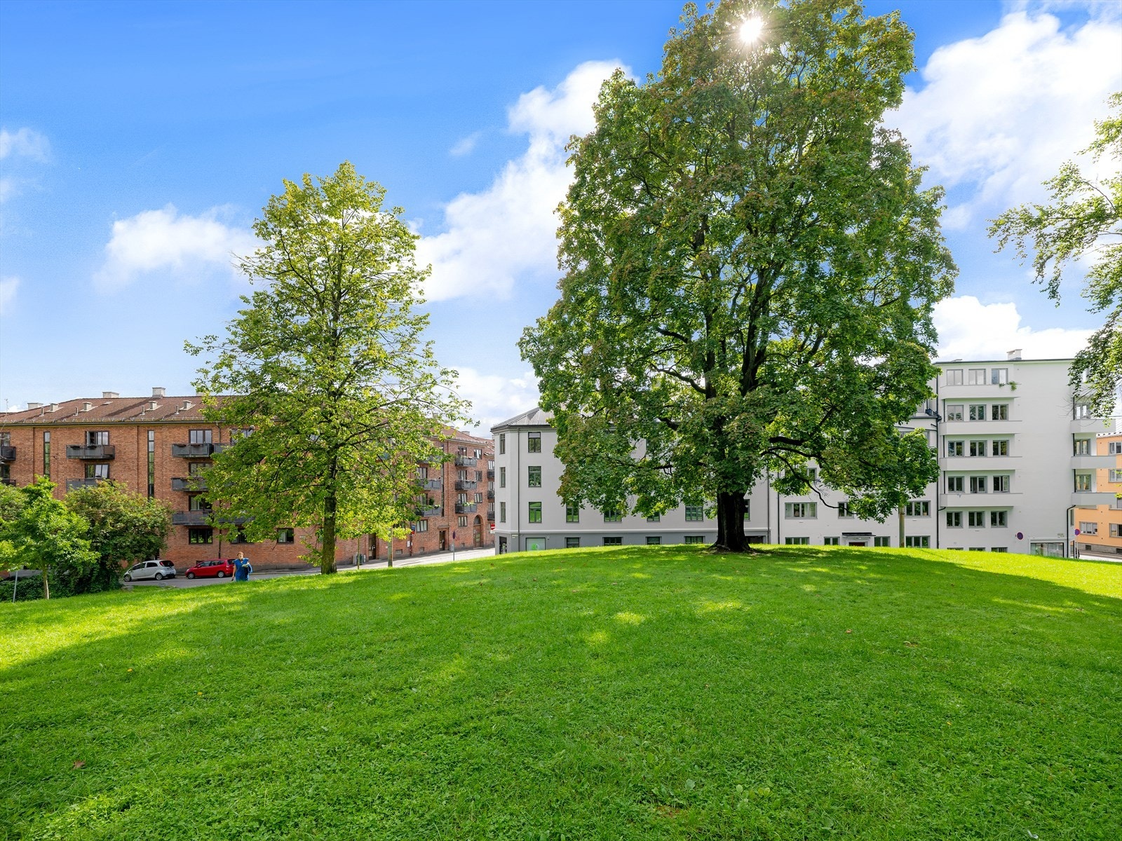 Kampen park kan du nyte solen fra morgen til kveld. Galleribilde