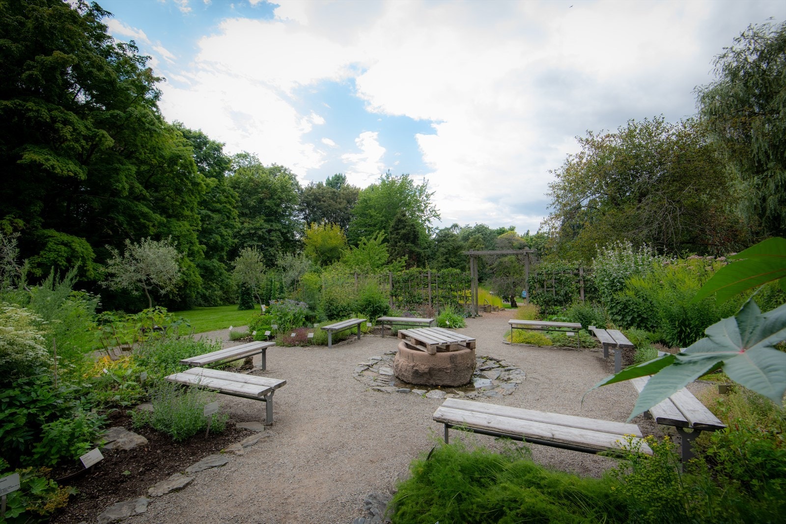 Botanisk hage. Galleribilde