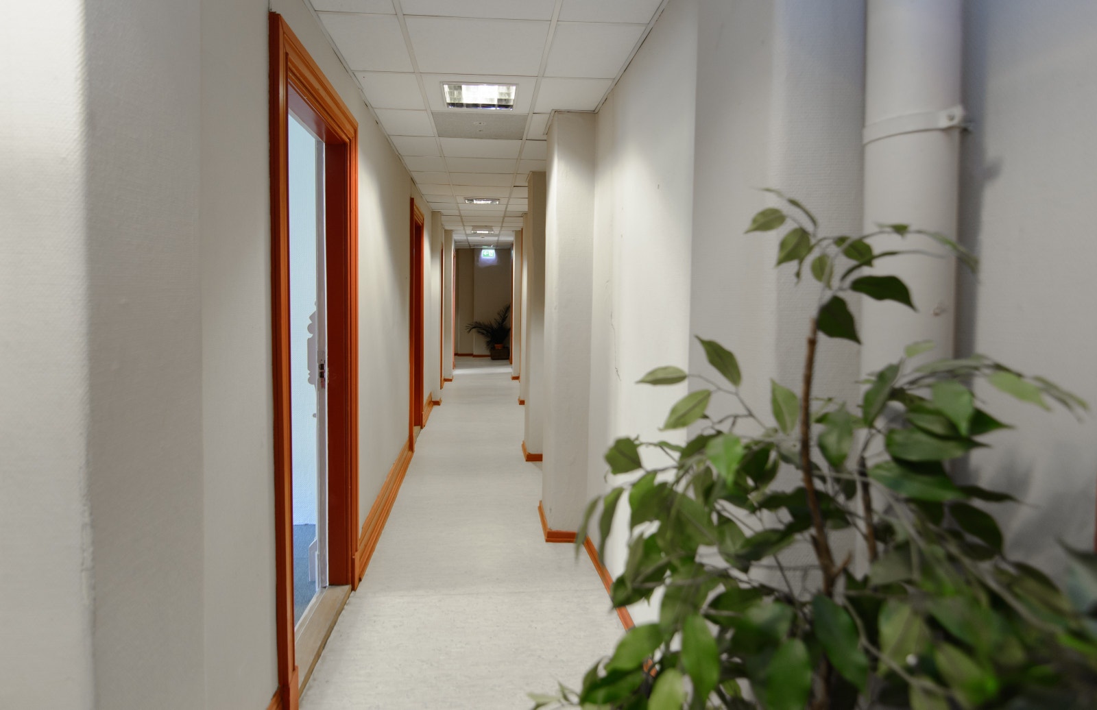 Fellesområde Galleribilde