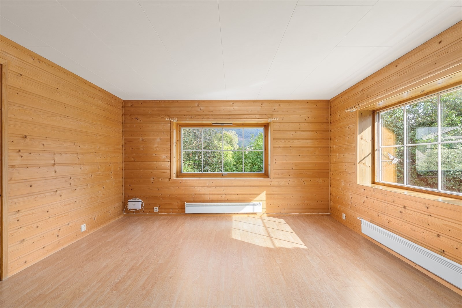 Stue med panelte vegger. Galleribilde