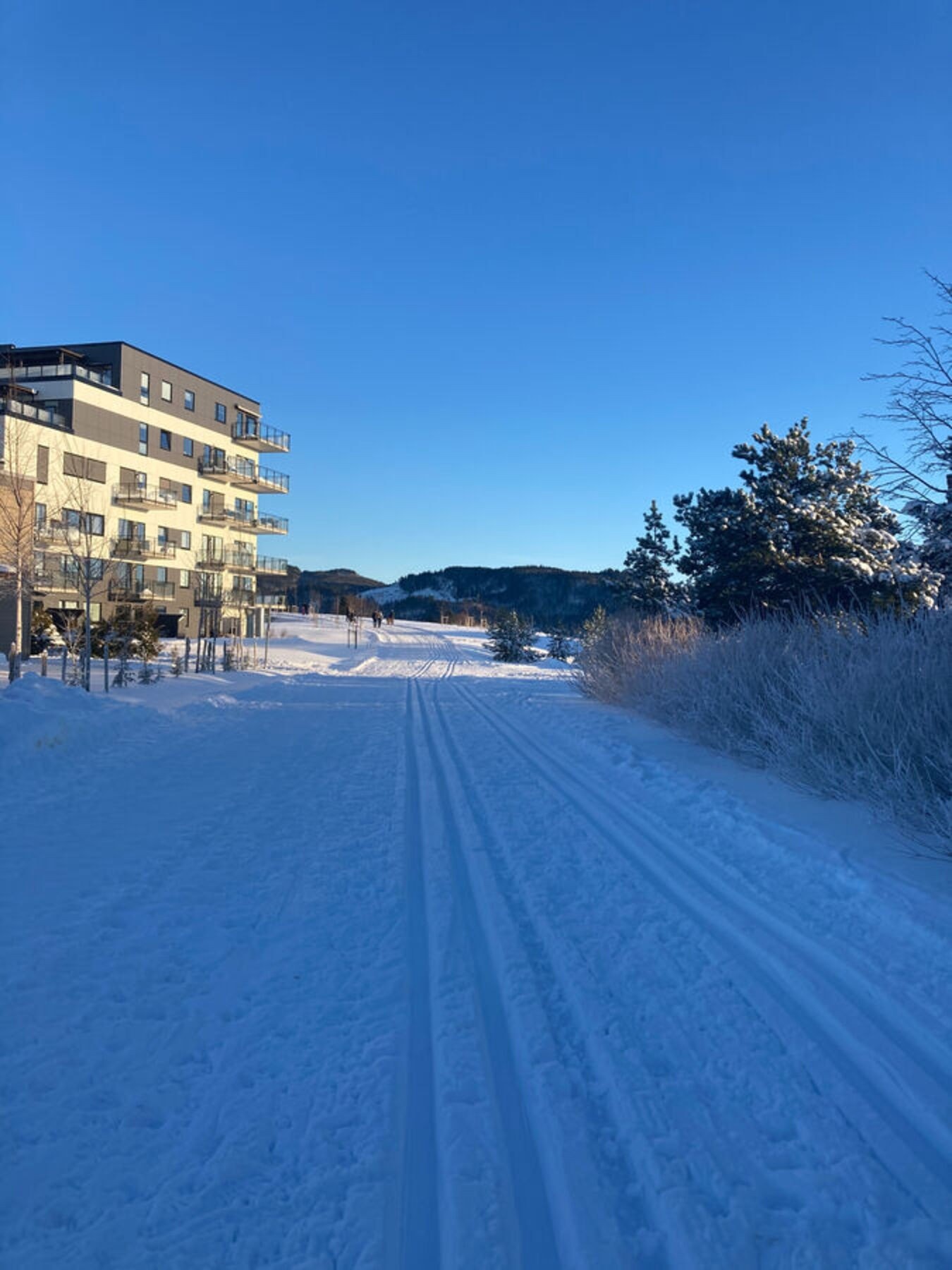 På vinteren har man preparert skiløype rett utenfor inngangsdøren (Privat foto) Galleribilde