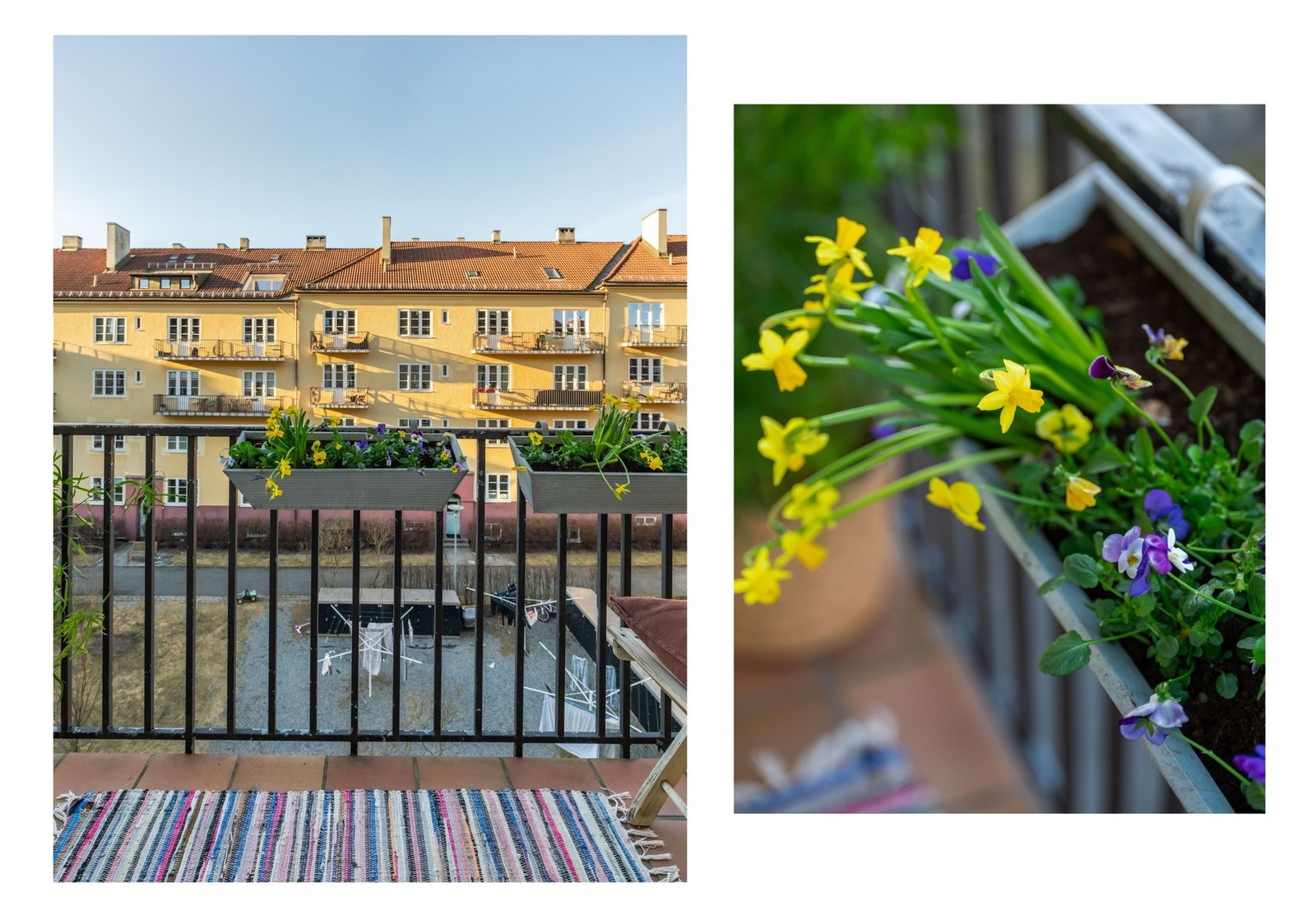 Og bare sånn for å toppe det tar vi med litt blomster også,. Galleribilde