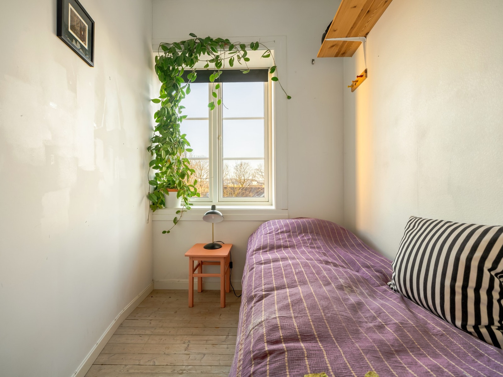 Som sagt: dette er egentlig ett stort rom, men som er delt i tre. Derfor små rom. Galleribilde