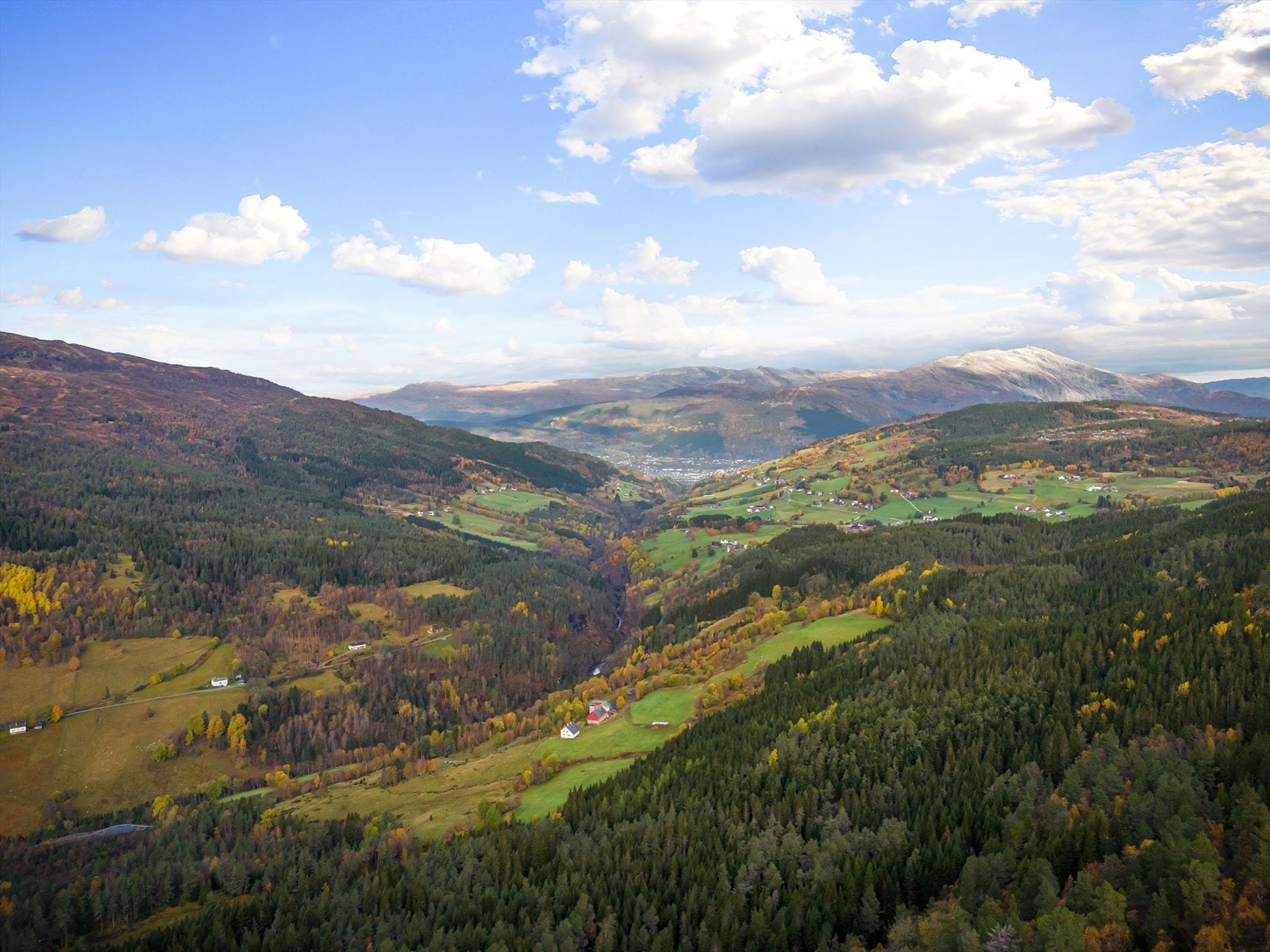 Dronebilde over nærområdet Galleribilde