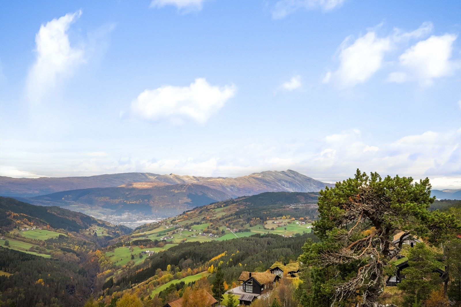 Eiendomsmegler Vest har gleden av å presentere Litrane 252 Galleribilde