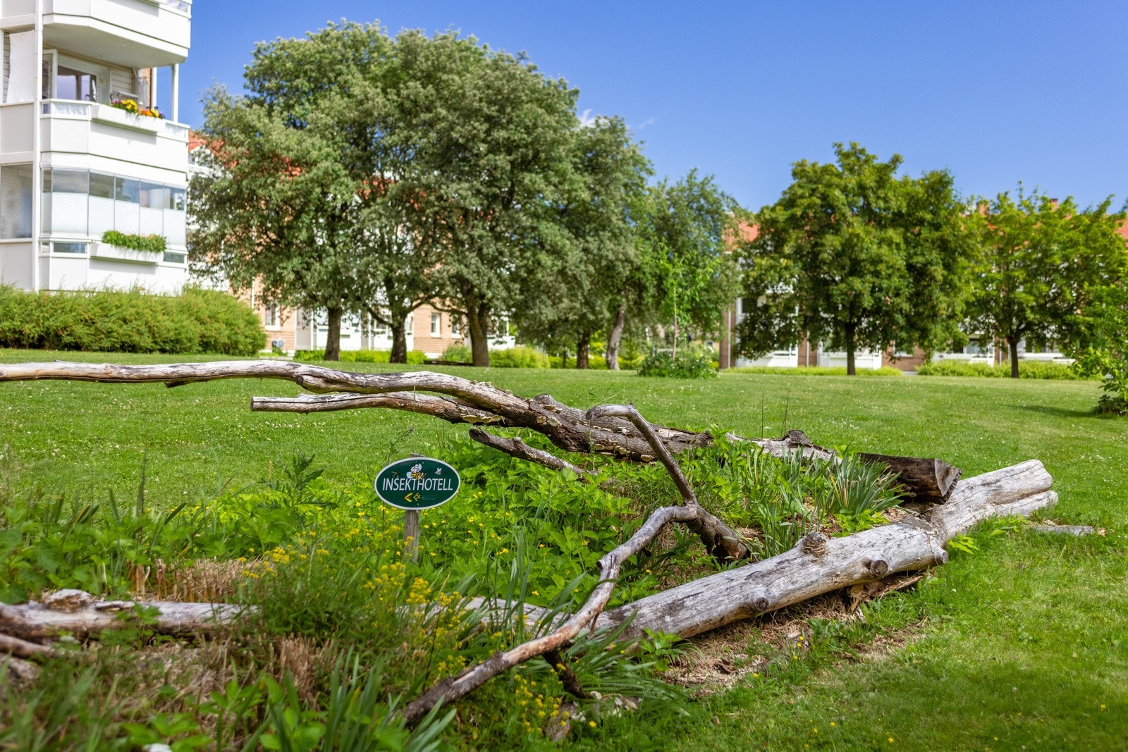 Insektshotell i felt tre på fellesarealet Galleribilde