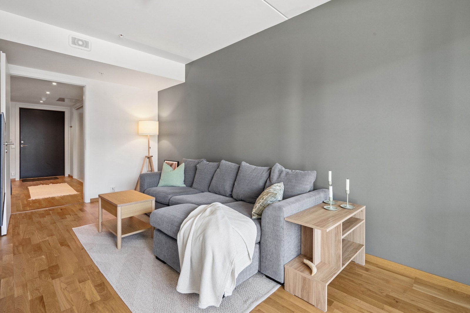 Stuen har plass til diverse møbler slik som sofa, stuebord, tv- og benk. Galleribilde