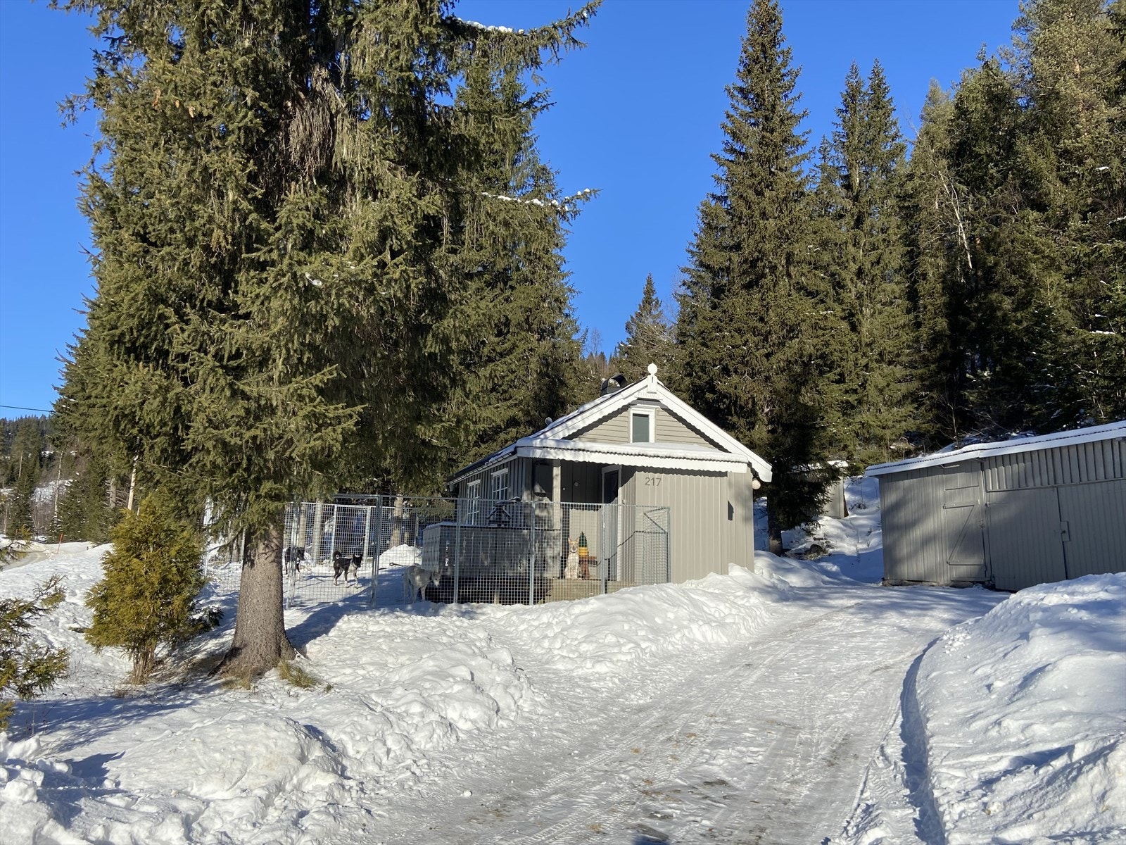 Eiendommen ligger fint til 568 moh. i Vikangrend, ca 3km vest for Rødberg sentrum i Nore og Uvdal kommune. Galleribilde