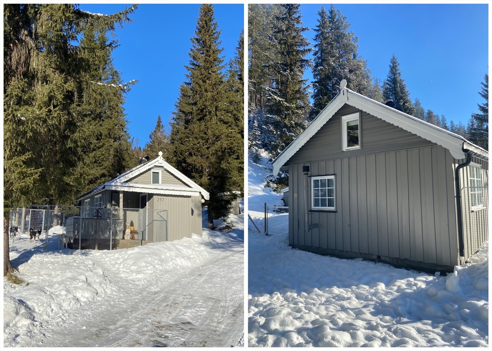 Hytta er godt vedlikeholdt. Galleribilde