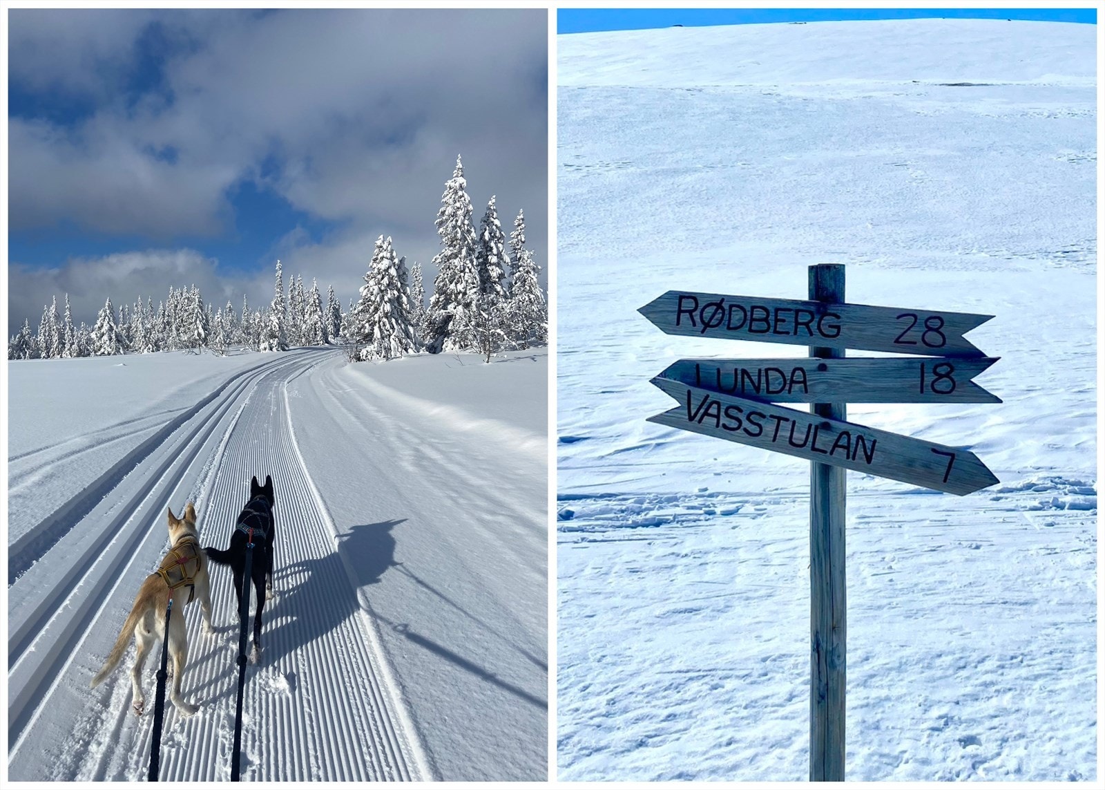 Skiløypene i fjellet i et fantastisk naturlandskap. Galleribilde