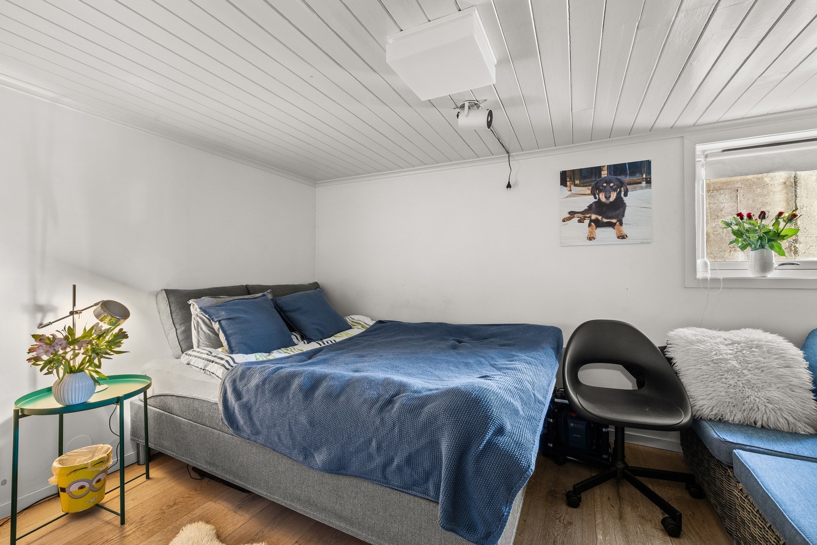 Bod i utleiedel i kjelleren. Galleribilde