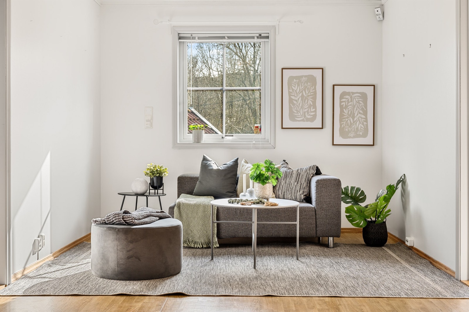 God plass til sofagruppe Galleribilde