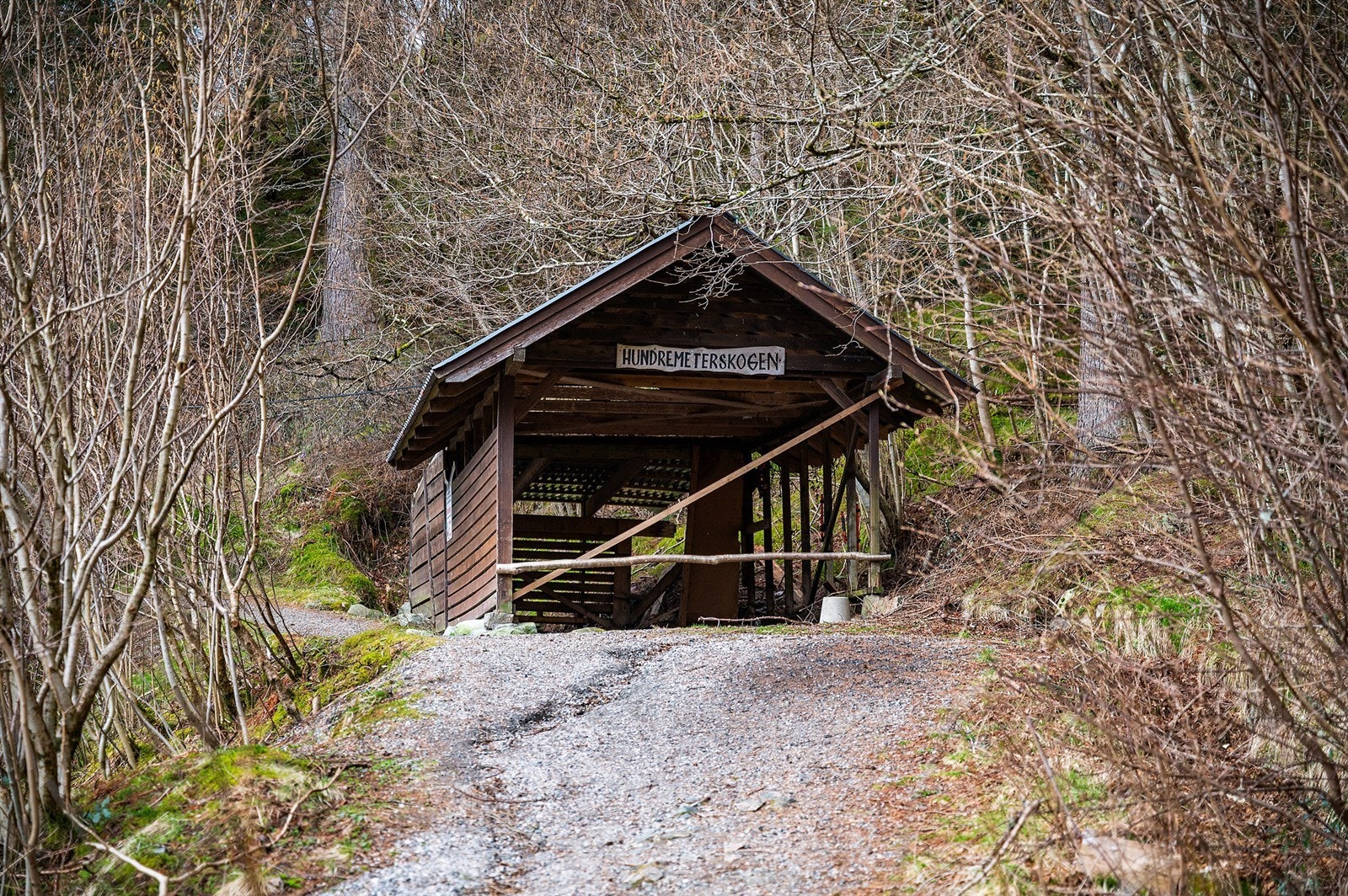 Populære turløyper i nærområdet. Galleribilde