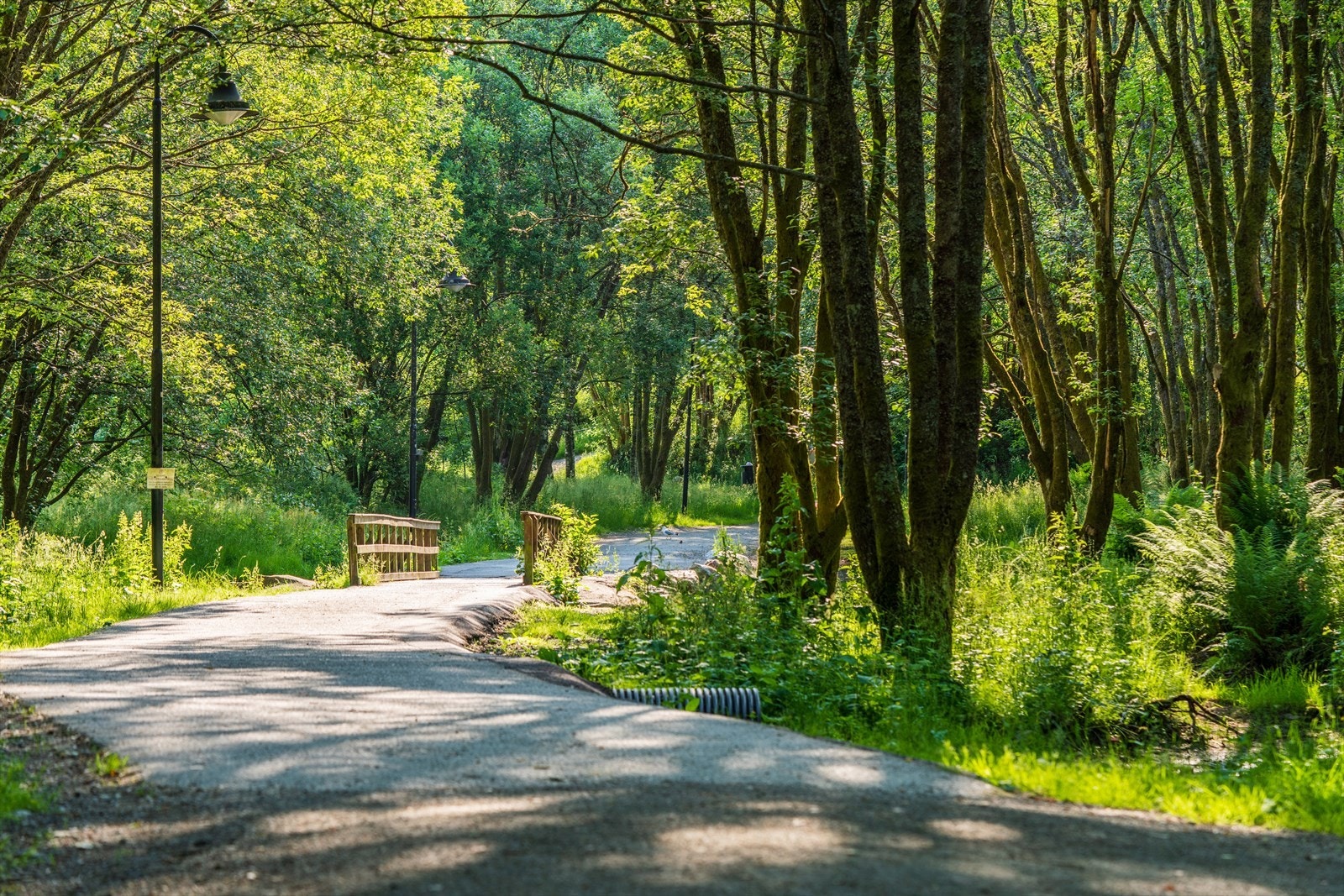 - Vakre Ortuvannet ligger like ved borettslaget, samt kort vei til andre turmuligheter som Kanadaskogen, Løvstakken og Damsgårdsfjellet - Galleribilde