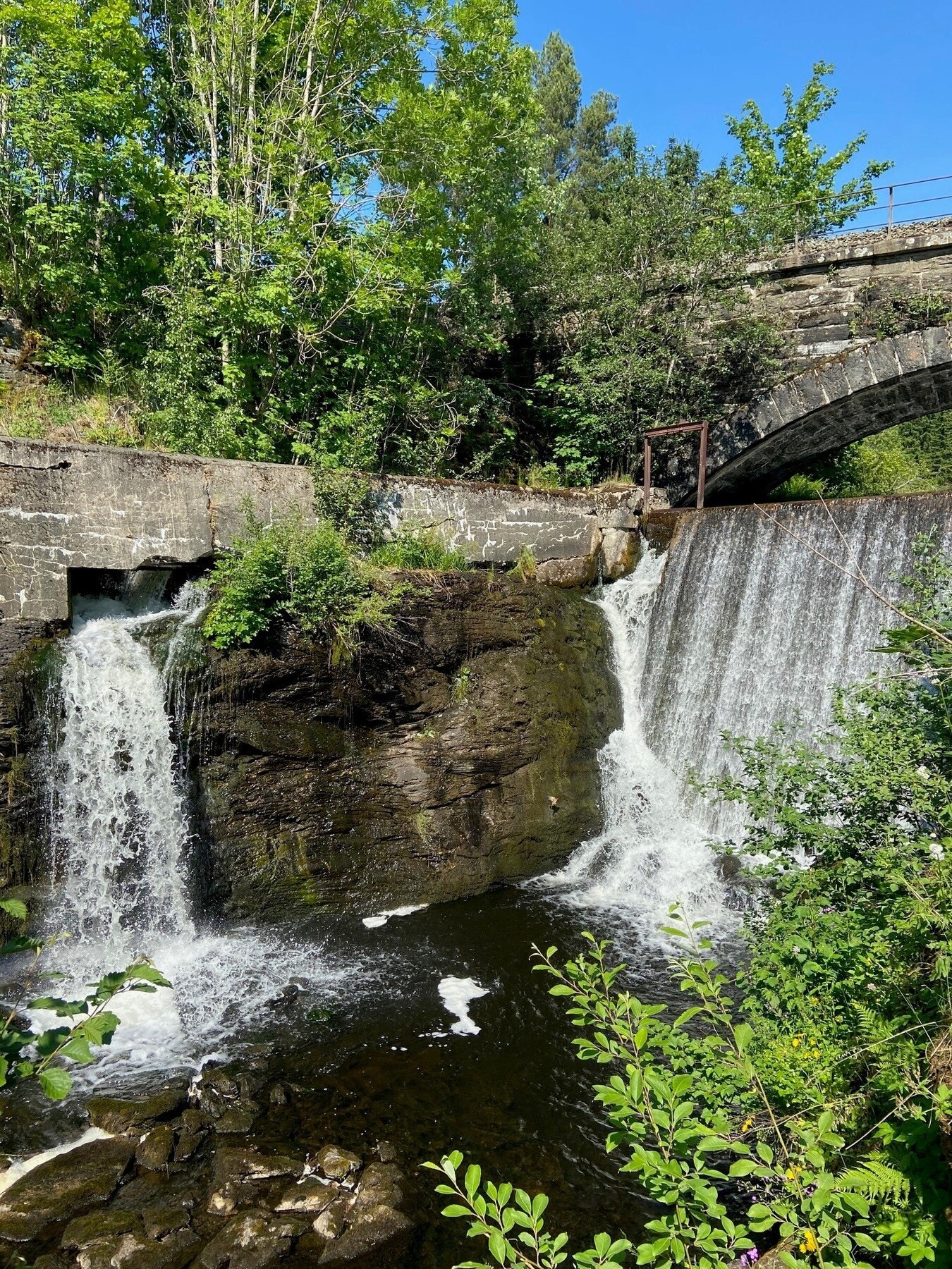 Bilder fra nærområdet. Galleribilde