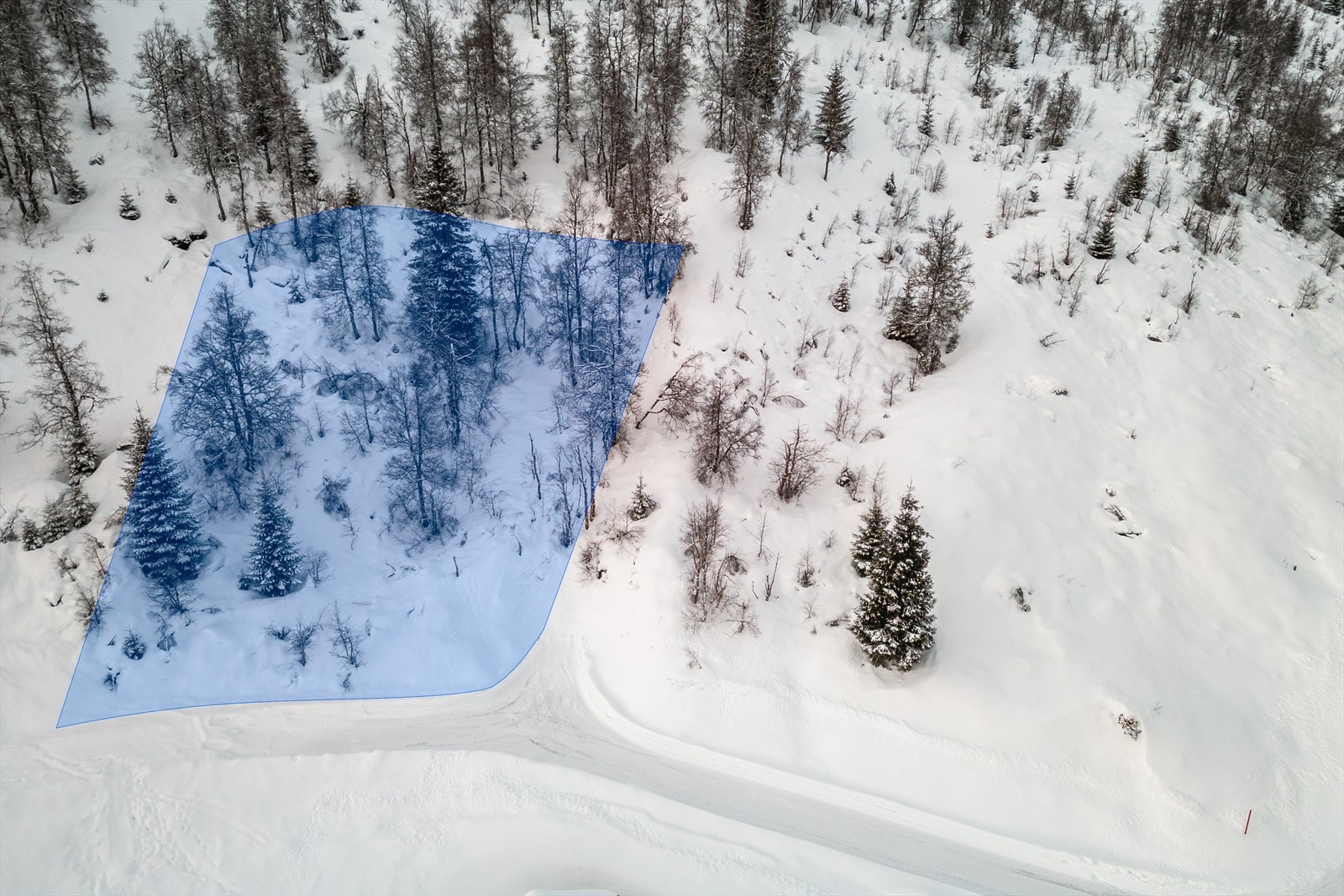 Tomt markert i blått måler 779 kvm. Galleribilde