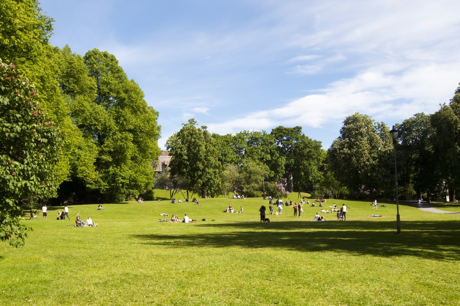 Botsparken.jpg Galleribilde