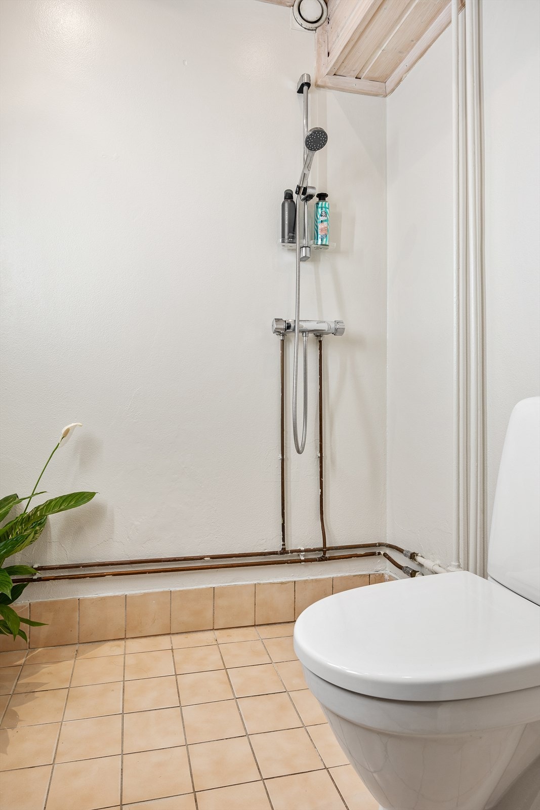 Innredningen inkluderer en veggmontert servant med heldekkende overflate og ett-greps armatur, speil med belysning, gulvstående toalett og dusjnisje med forheng. Det er også opplegg for vaskemaskin Galleribilde