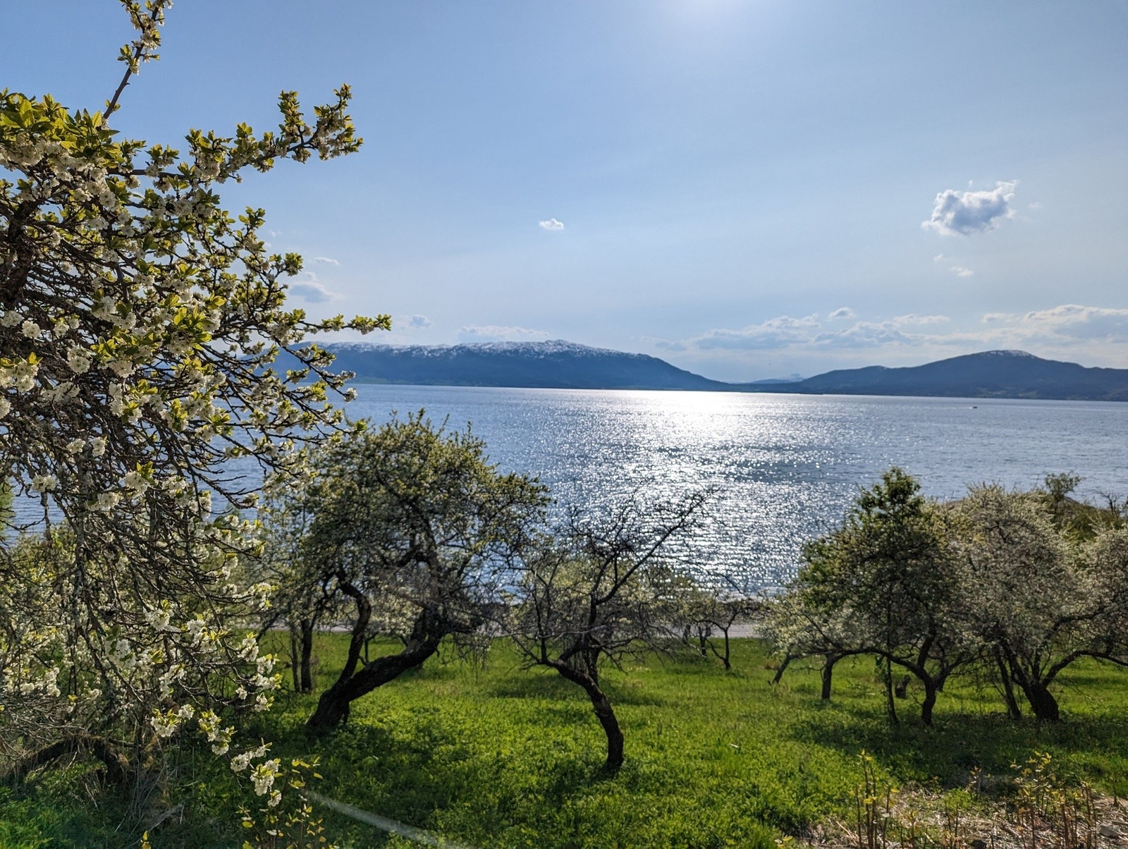 Privat bilde Galleribilde