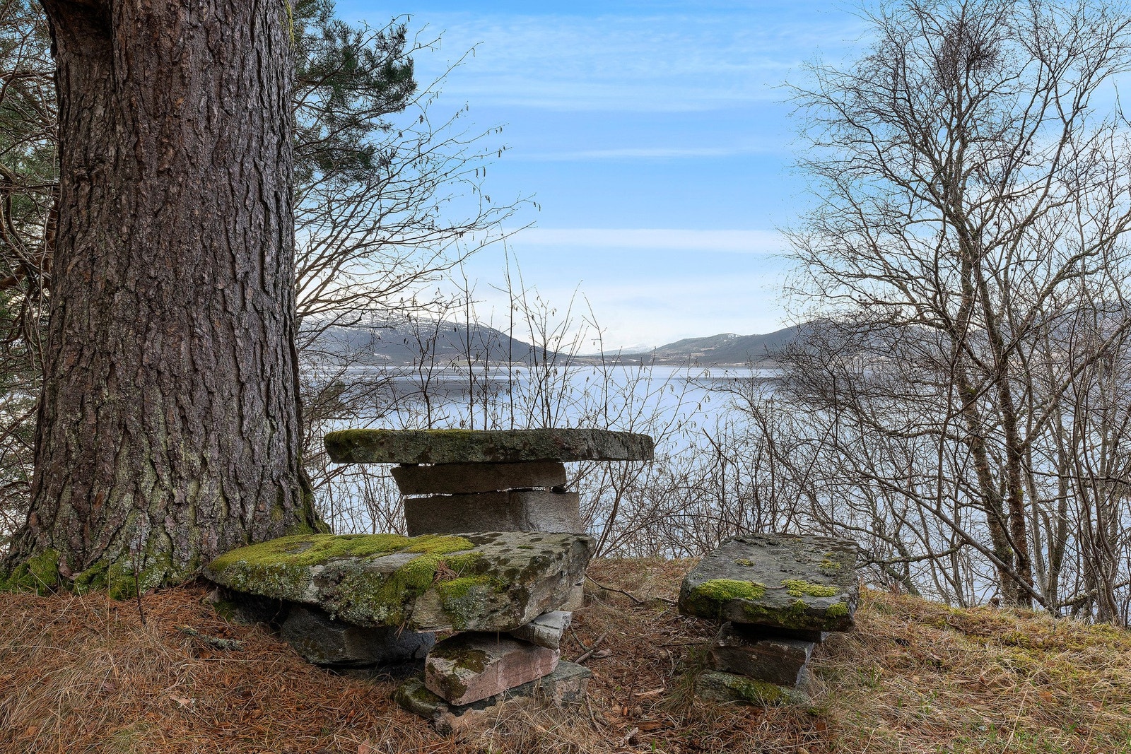 Utsikt Galleribilde