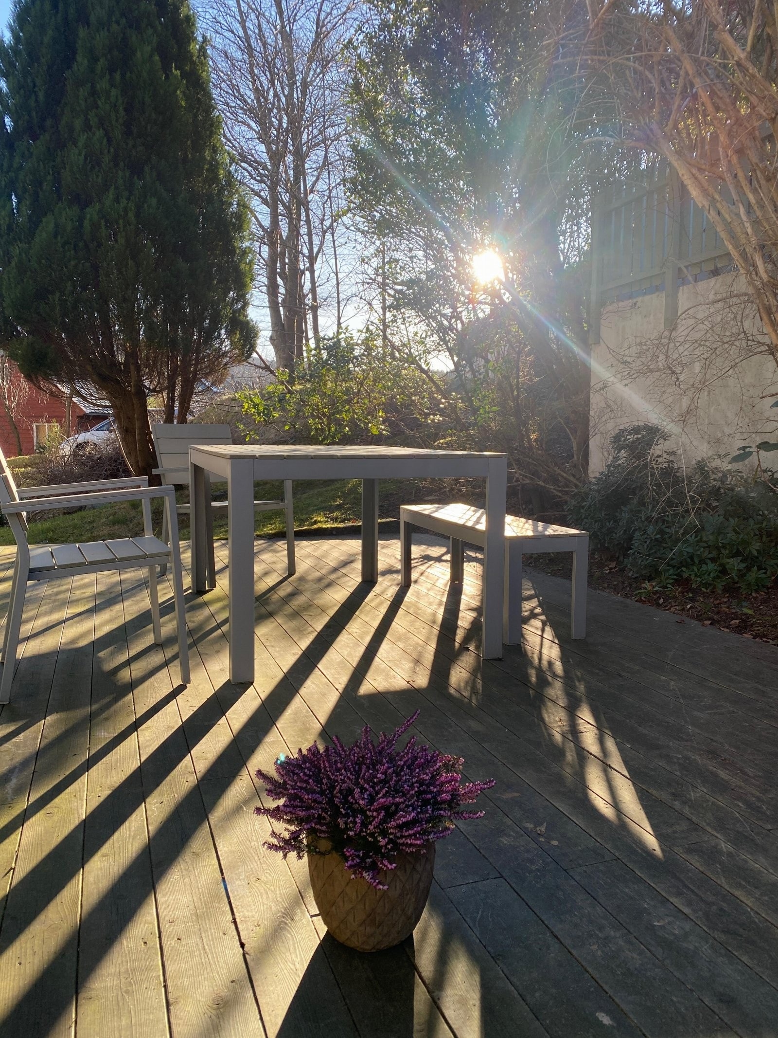 Felles uteplass med masse kveldssol Galleribilde