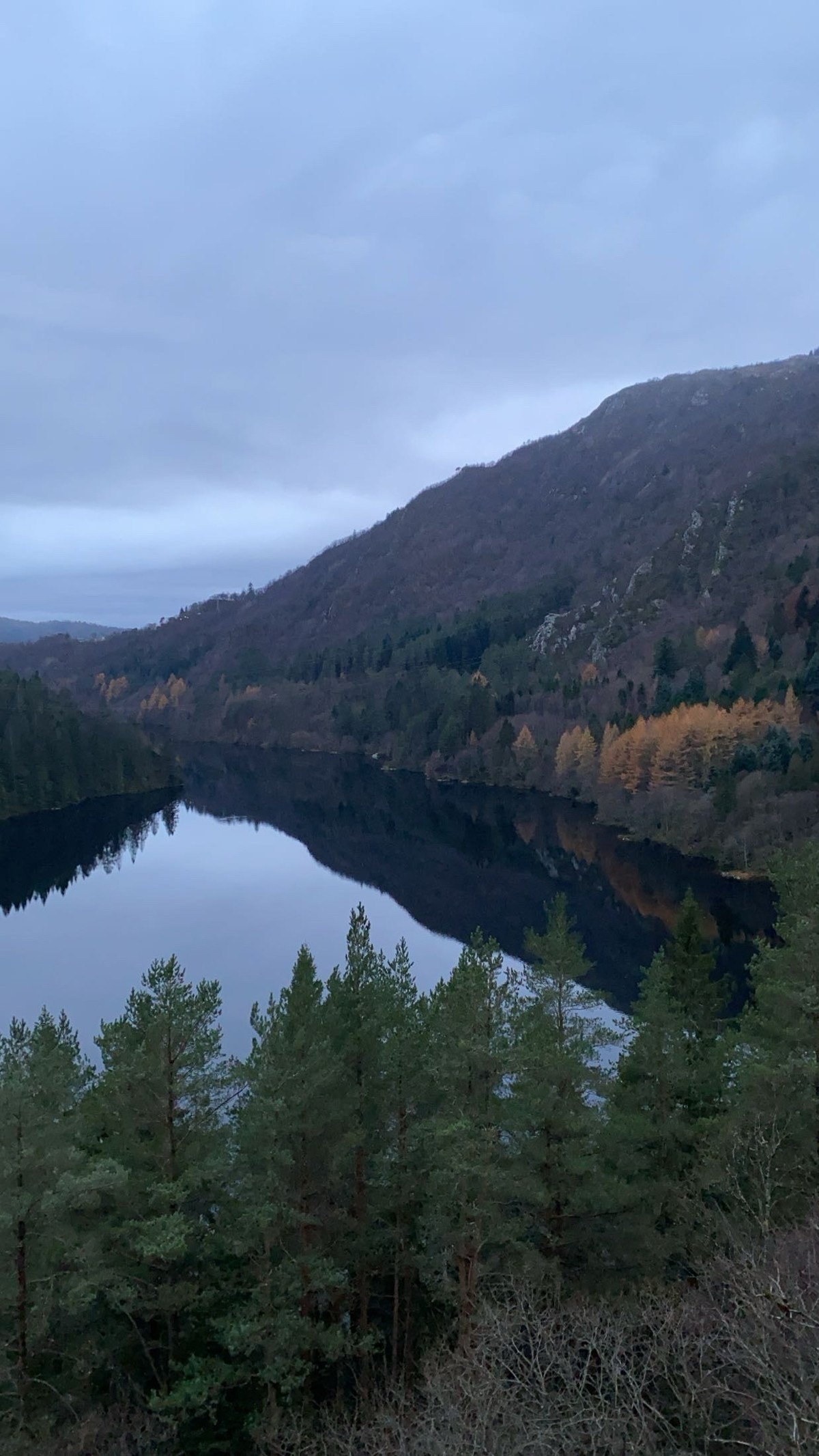 Flotte turmuligheter langs Tarlebøveien Galleribilde