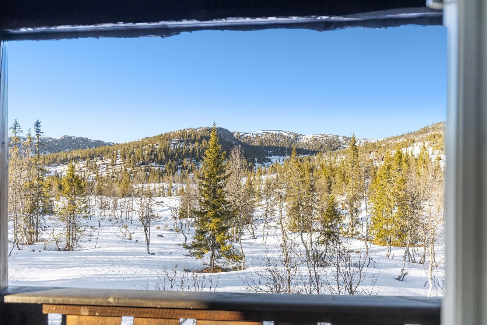 Utsikten byr på naturlige naturbilder fra terrassen og fra hyttas vinduer Galleribilde