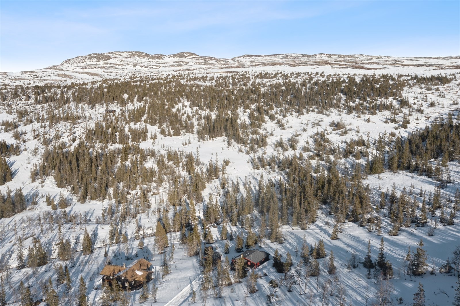 Det er også mulighet for rike naturopplevelser resten av året, som f.eks. flotte turer i storslagen natur, fisking i krystallklare fjellvann og bærplukking. Galleribilde
