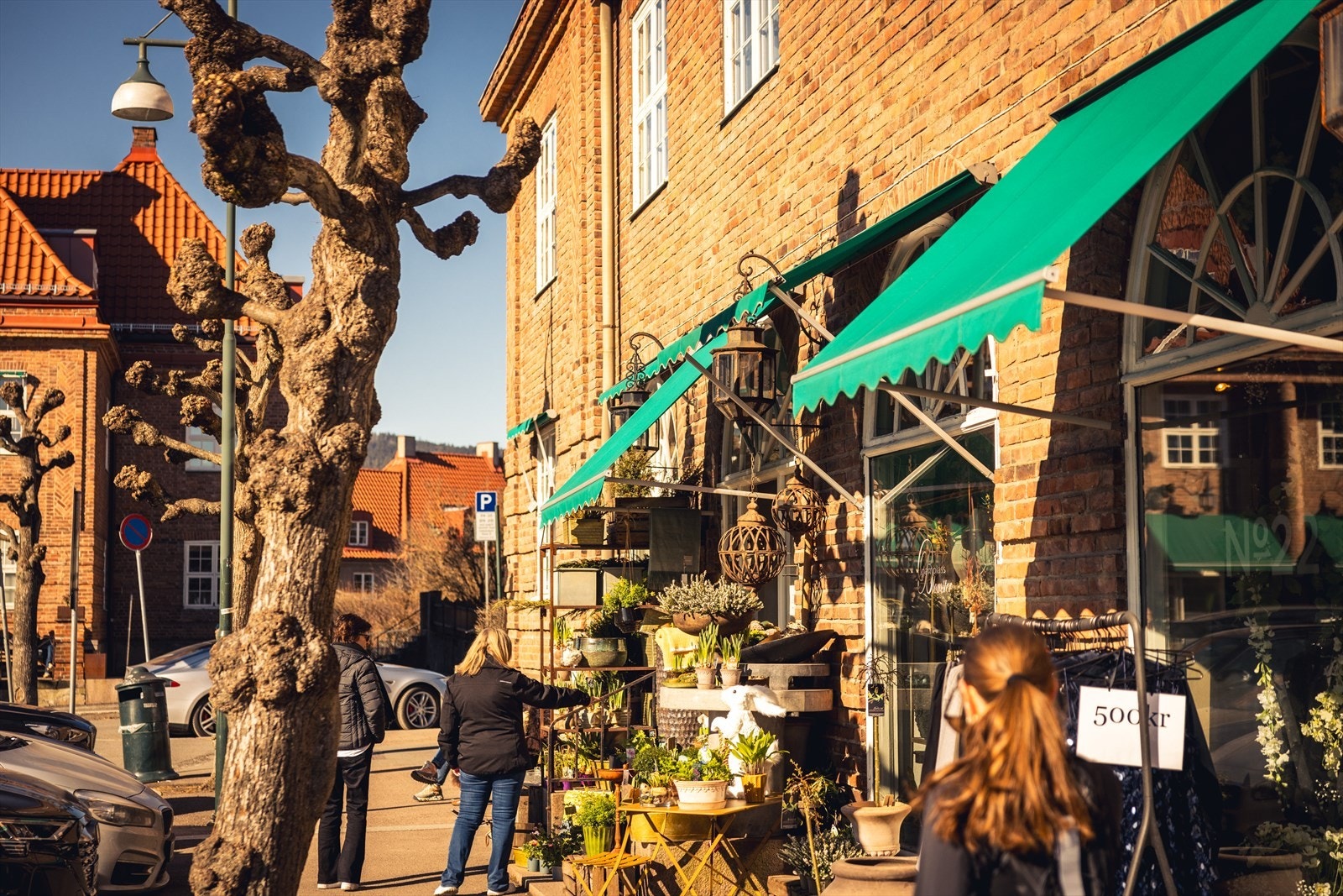 Områdebilde Galleribilde