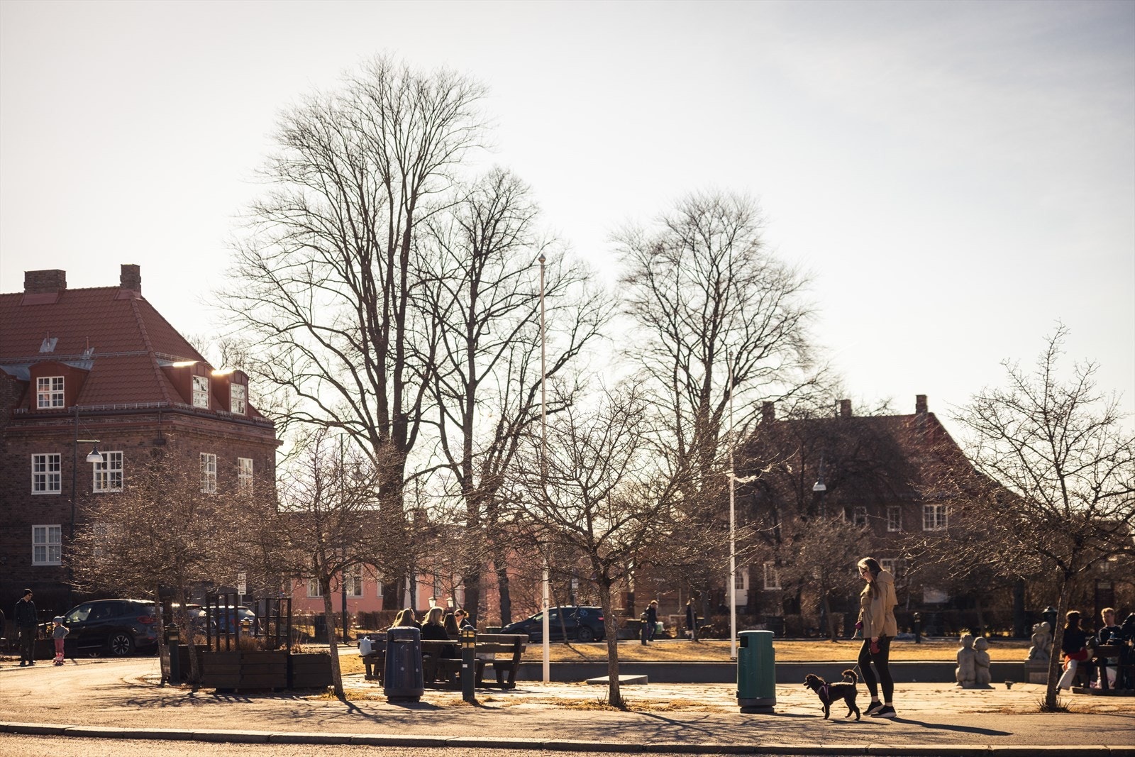 Områdebilde Galleribilde